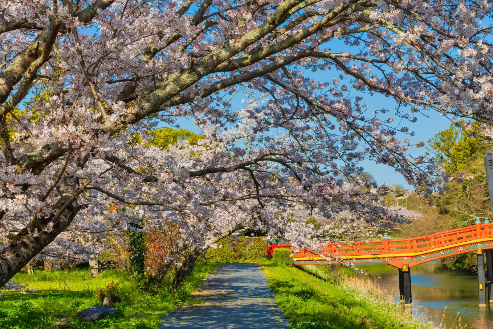 Yokohama Yokohama