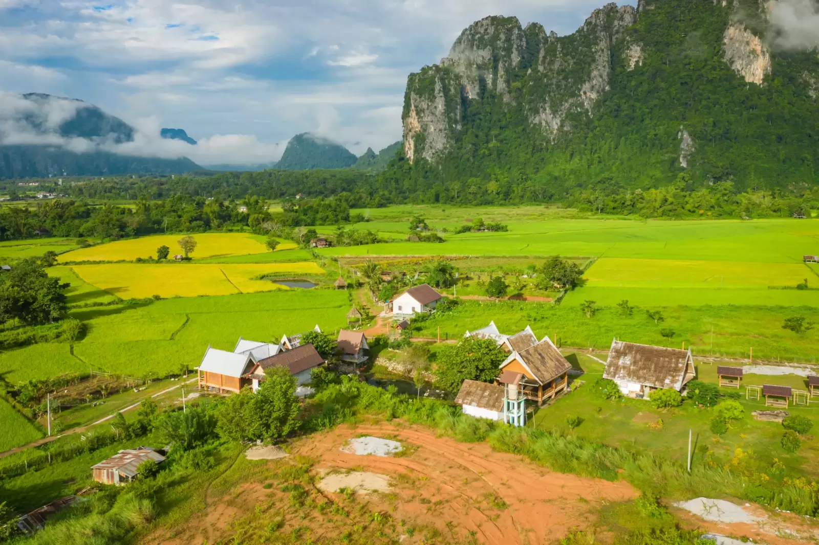 aerial view of green rice fields and mountains paddy field at vang vieng laos