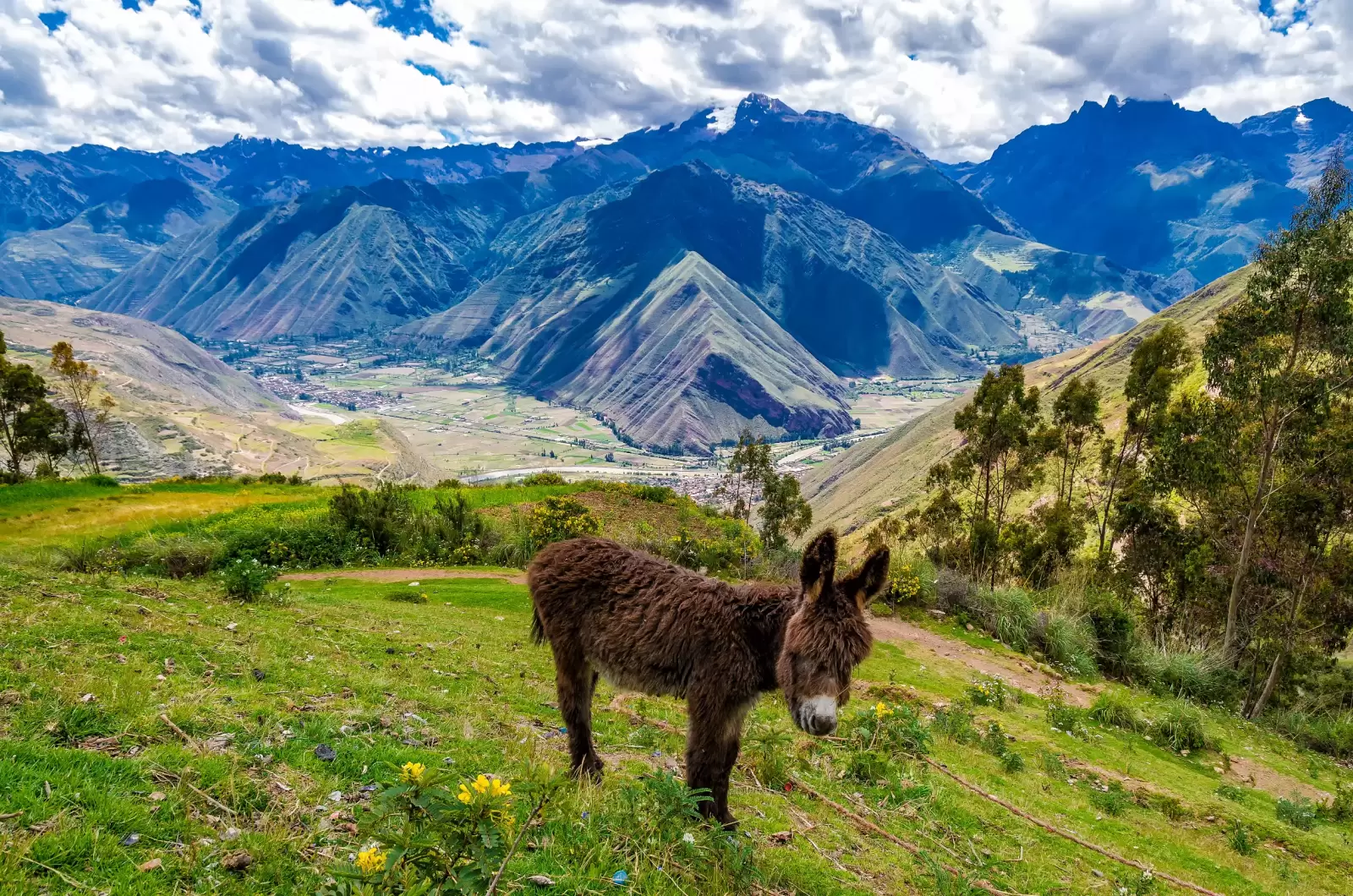 andes in peru andes in peru