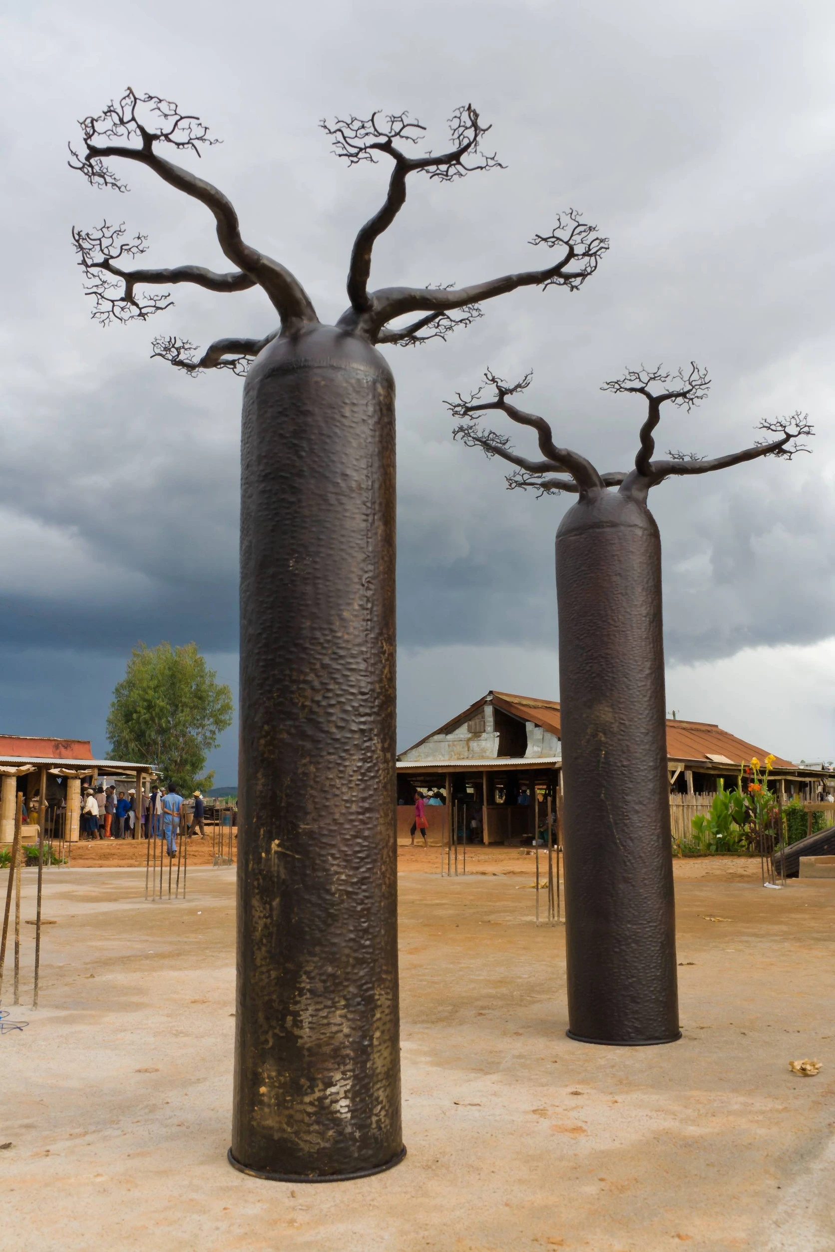 antananarivo madagascar exhibition of baobabs antananarivo madagascar exhibition of baobabs