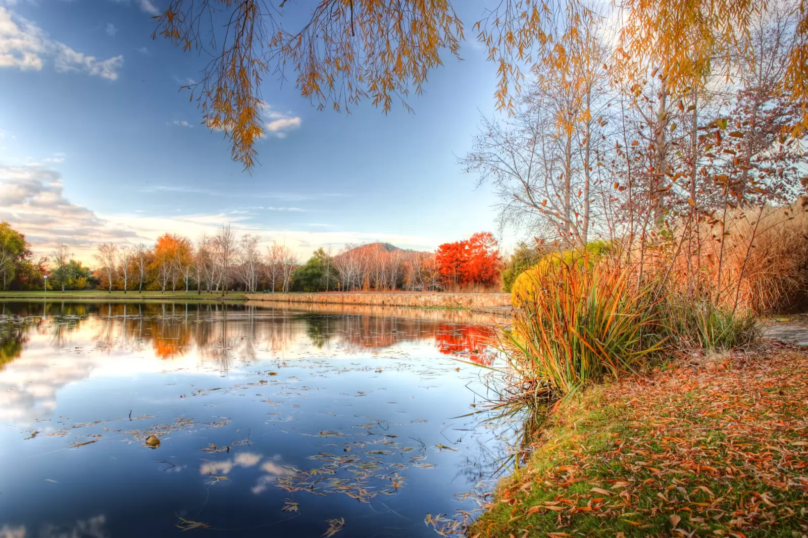 autumn lake burley griffin in canberra australian autumn lake burley griffin in canberra australian