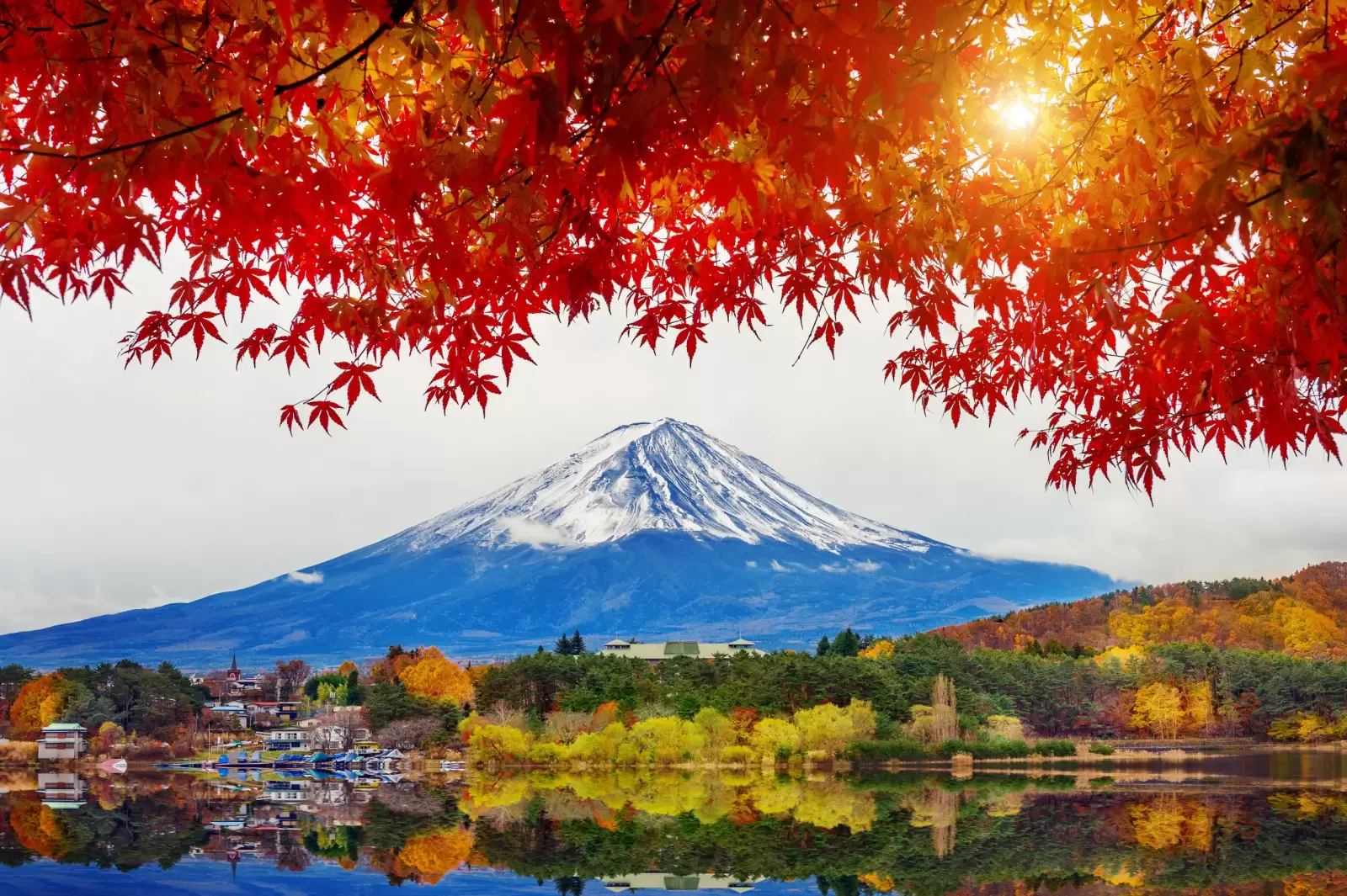 autumn season and mountain fuji at kawaguchiko lake japan autumn season and mountain fuji at kawaguchiko lake japan