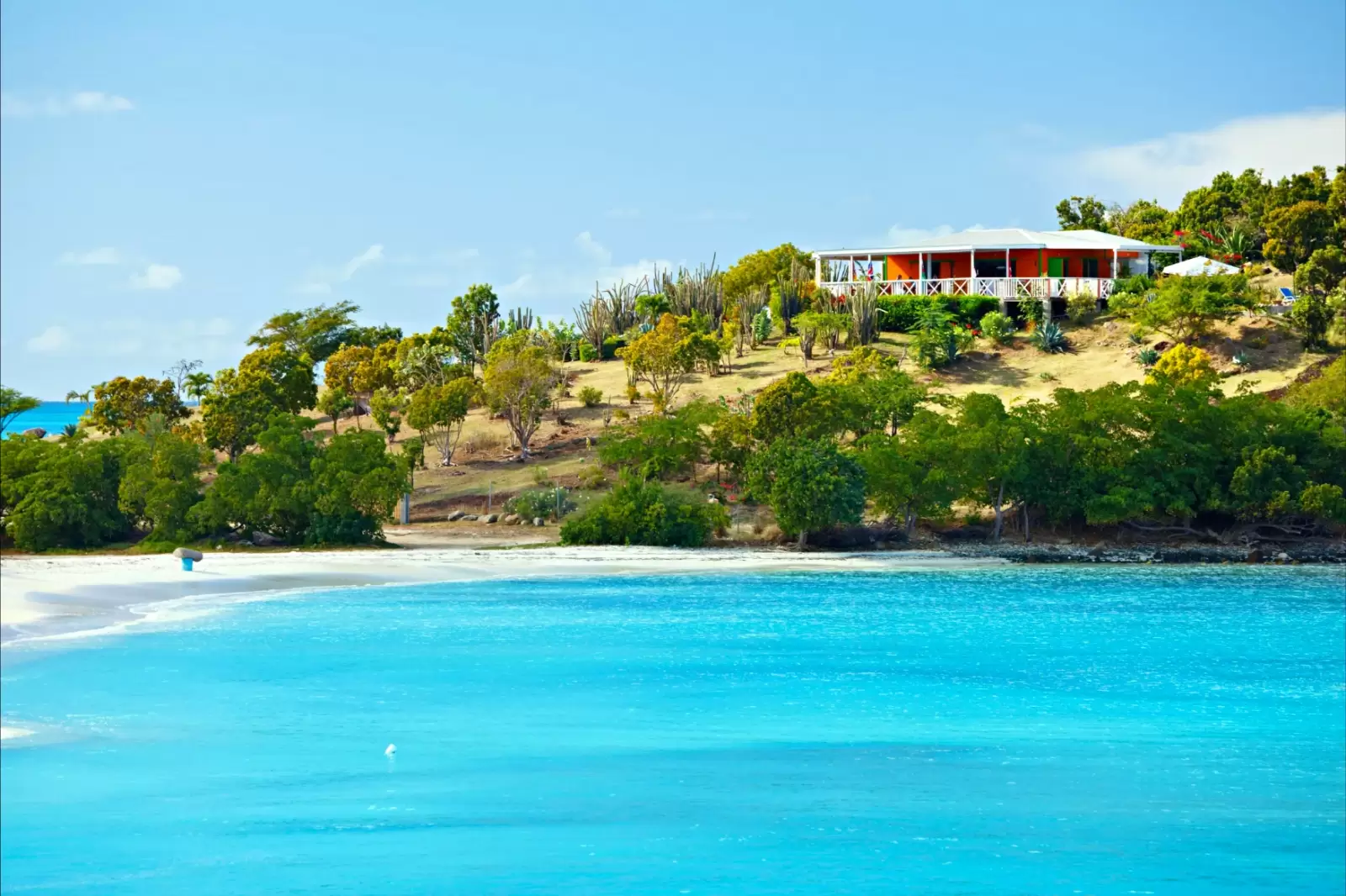 beach in antigua with blue sky and turquoise water a beach bar beach in antigua with blue sky and turquoise water a beach bar