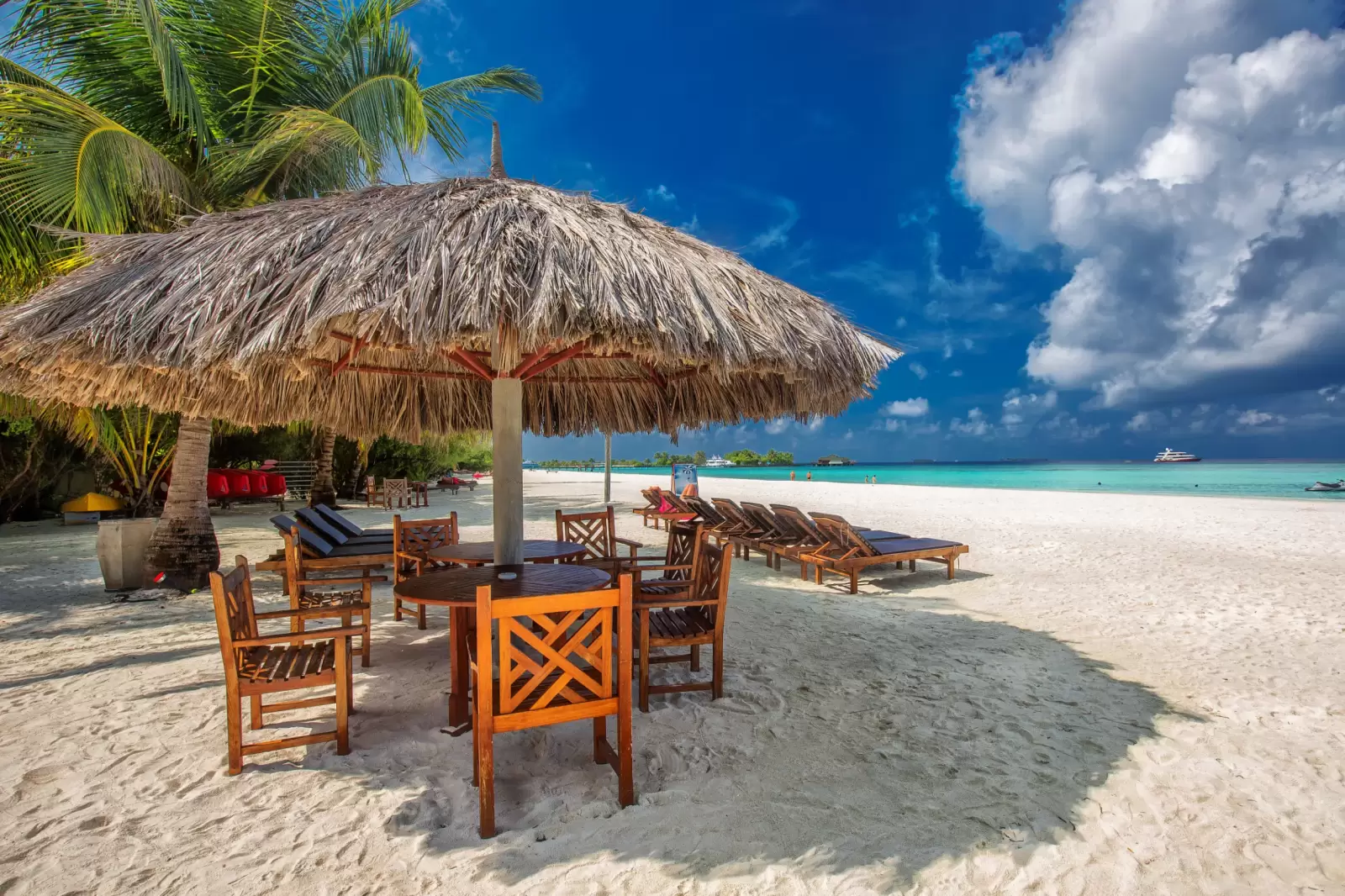 beach on tropical island with palm trees turquoise