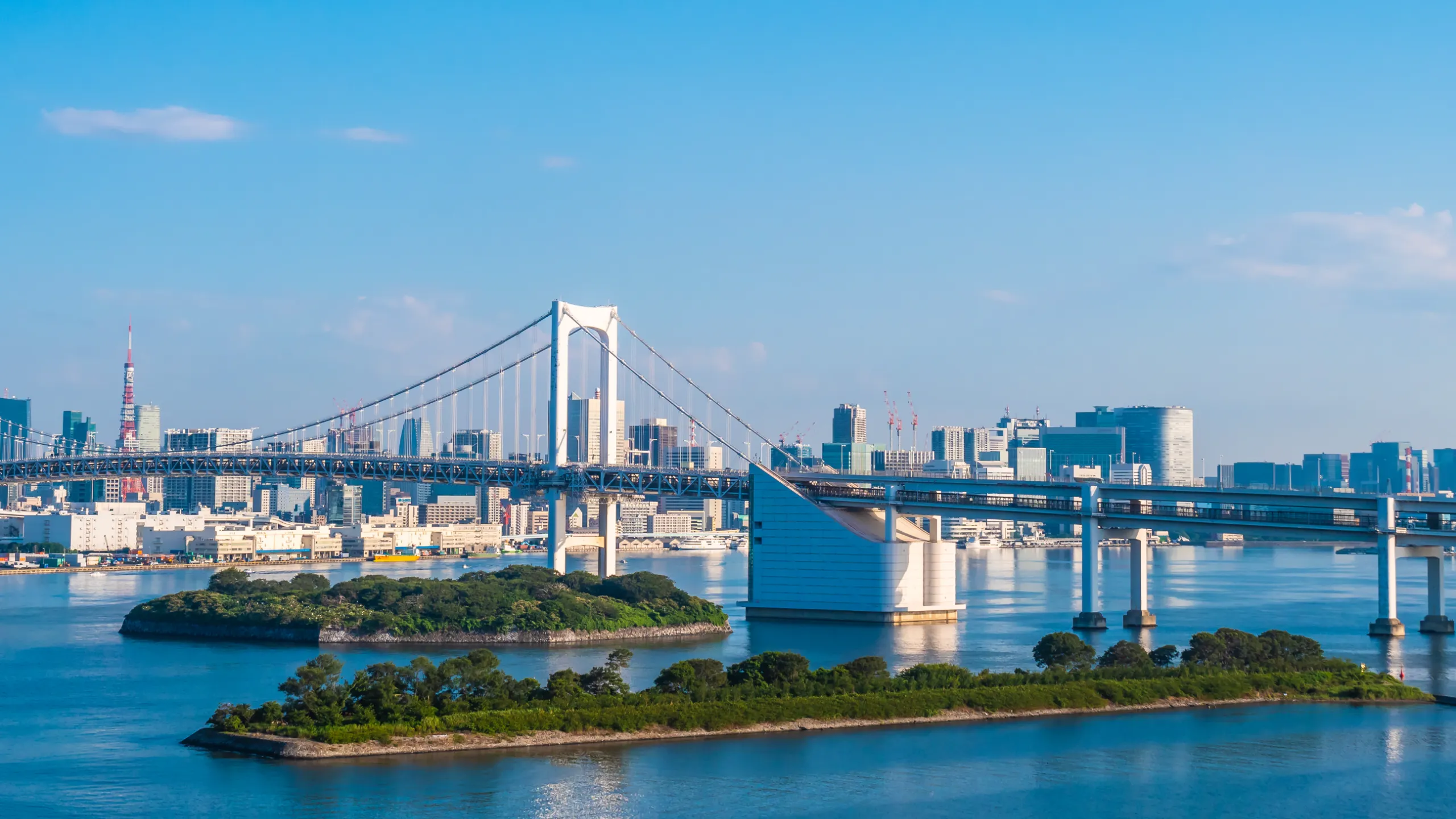 beautiful cityscape with architecture building and rainbow bridge in tokyo city japan beautiful cityscape with architecture building and rainbow bridge in tokyo city japan