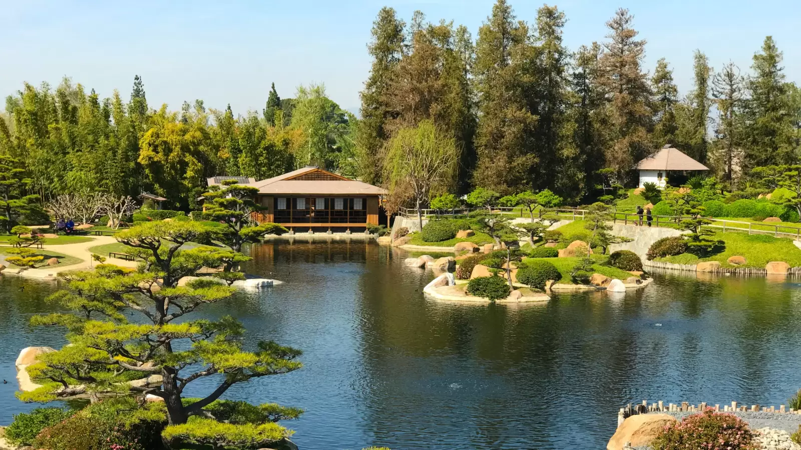 beautiful flowers and trees in japanese garden beautiful flowers and trees in japanese garden