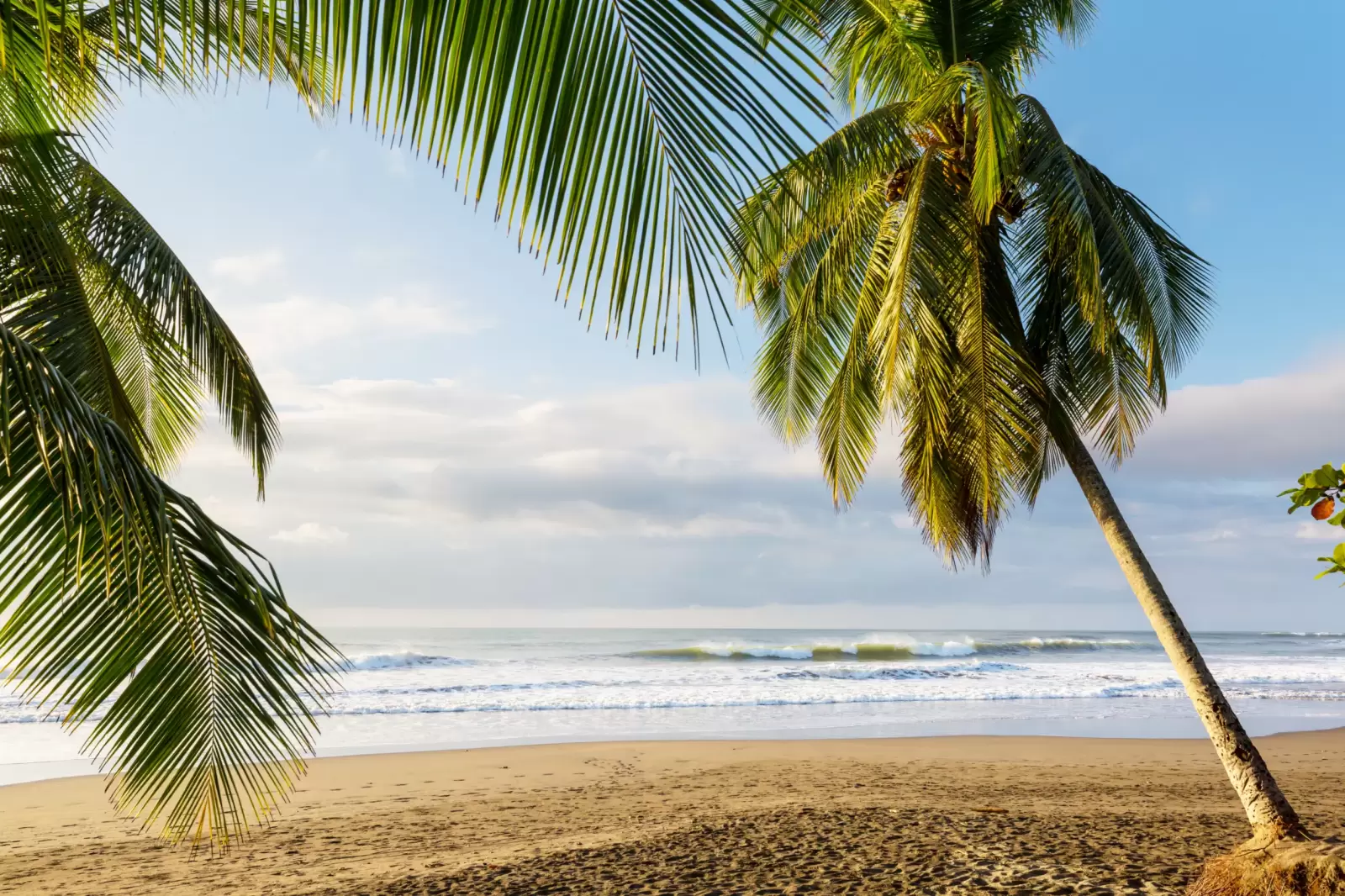 beautiful tropical pacific ocean coast in costa rica