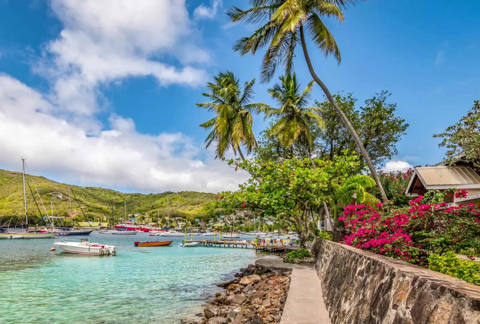 bequia island with palm trees at the harbor bequia island with palm trees at the harbor