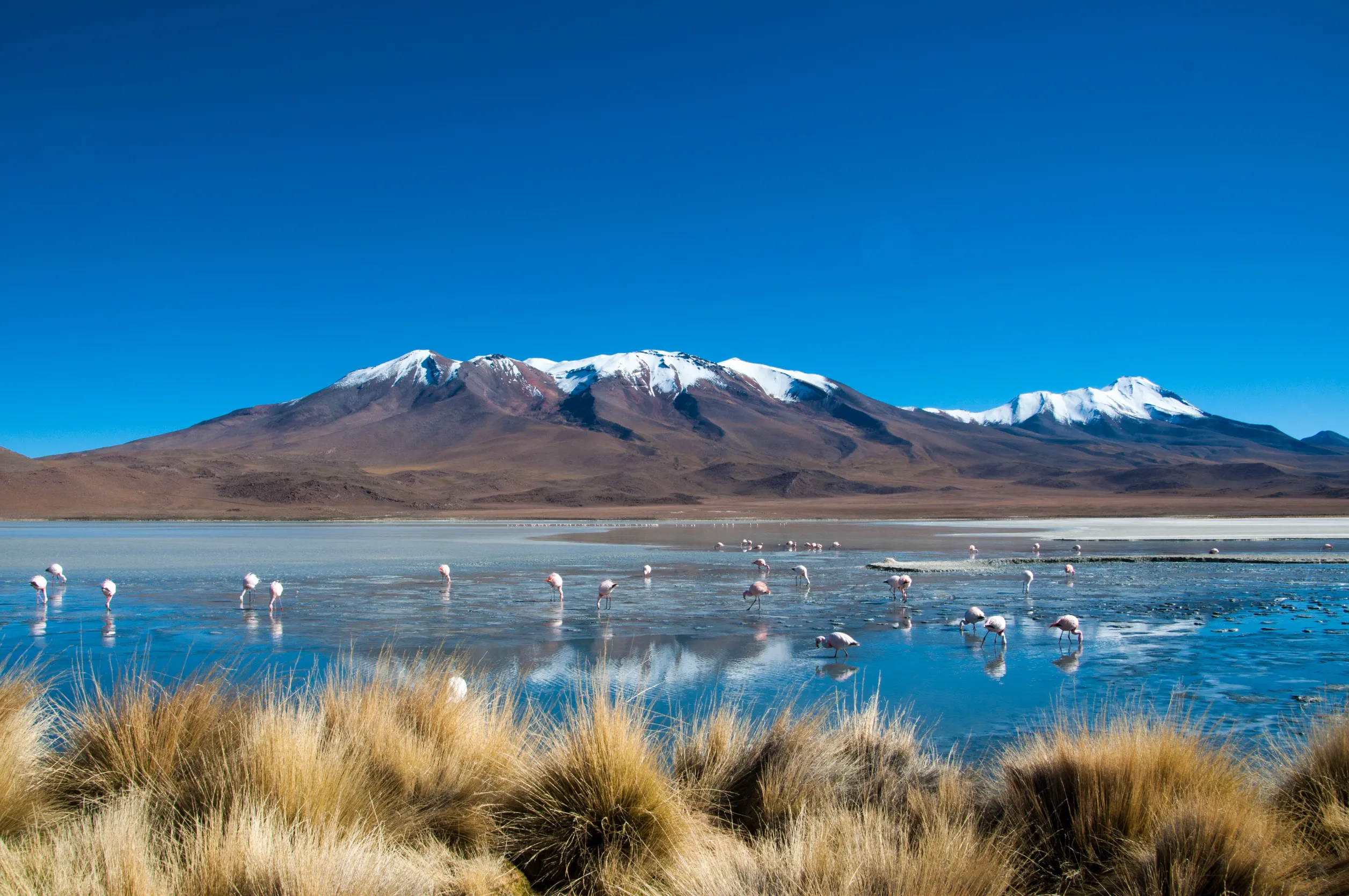 blue lake in bolivia