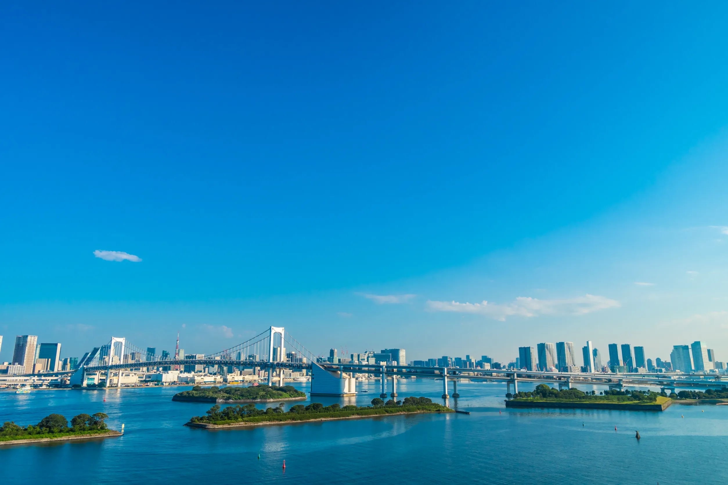 building cityscape of tokyo city with rainbow bridge in japan building cityscape of tokyo city with rainbow bridge in japan