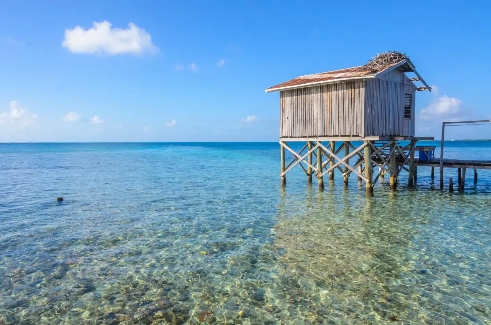 bungalow on small tropical island at barrier reef bungalow on small tropical island at barrier reef