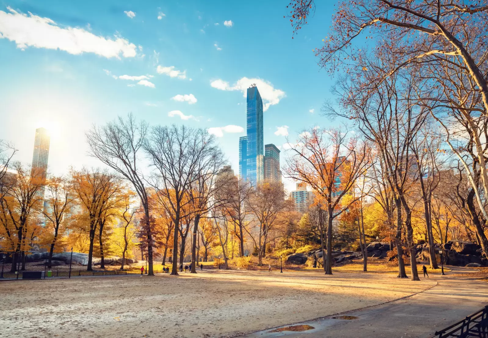 central park in new york city at sunny autumn day usa central park in new york city at sunny autumn day usa