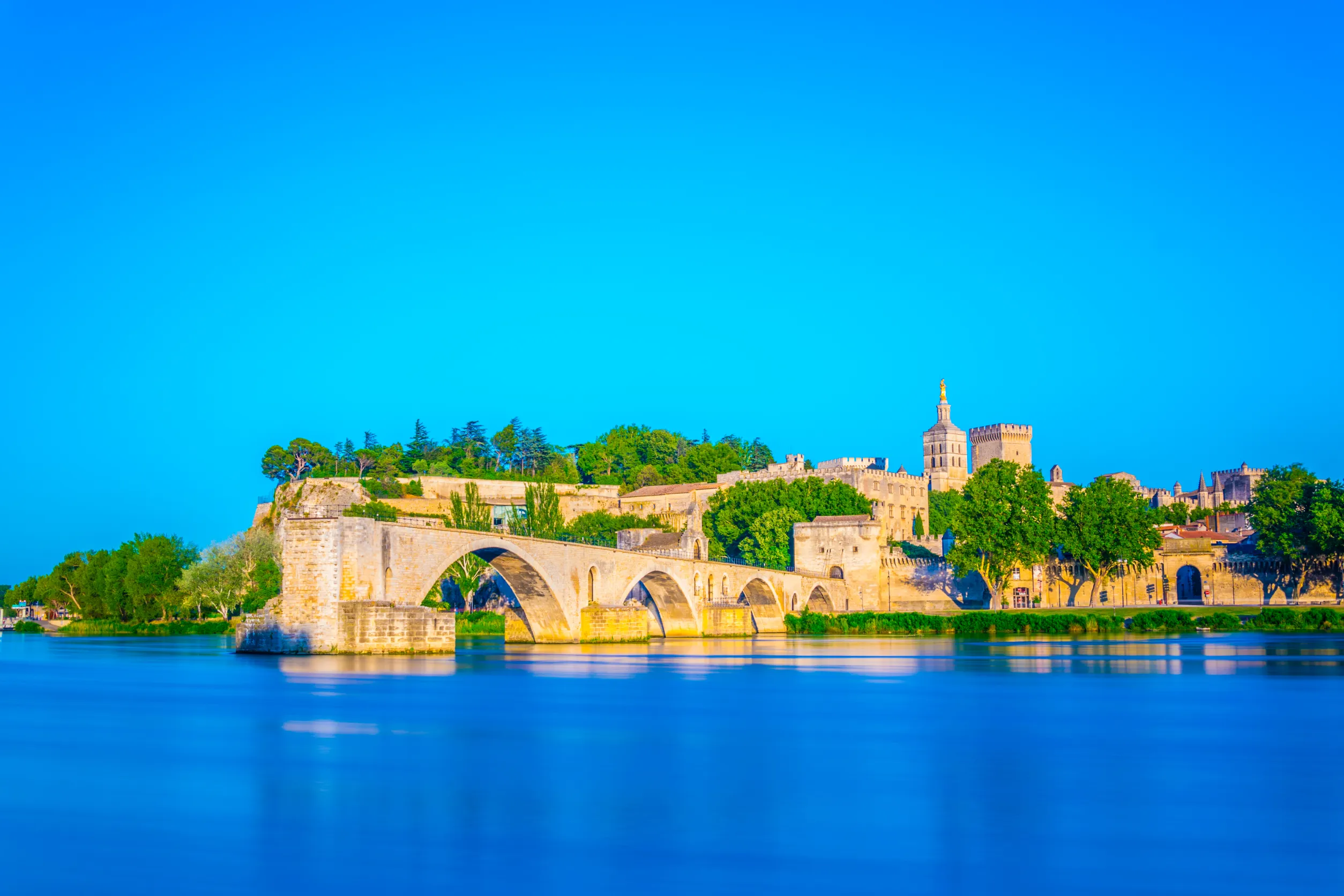 cityscape of avignon with palais des papes cathedral of our lady and pont saint cityscape of avignon with palais des papes cathedral of our lady and pont saint