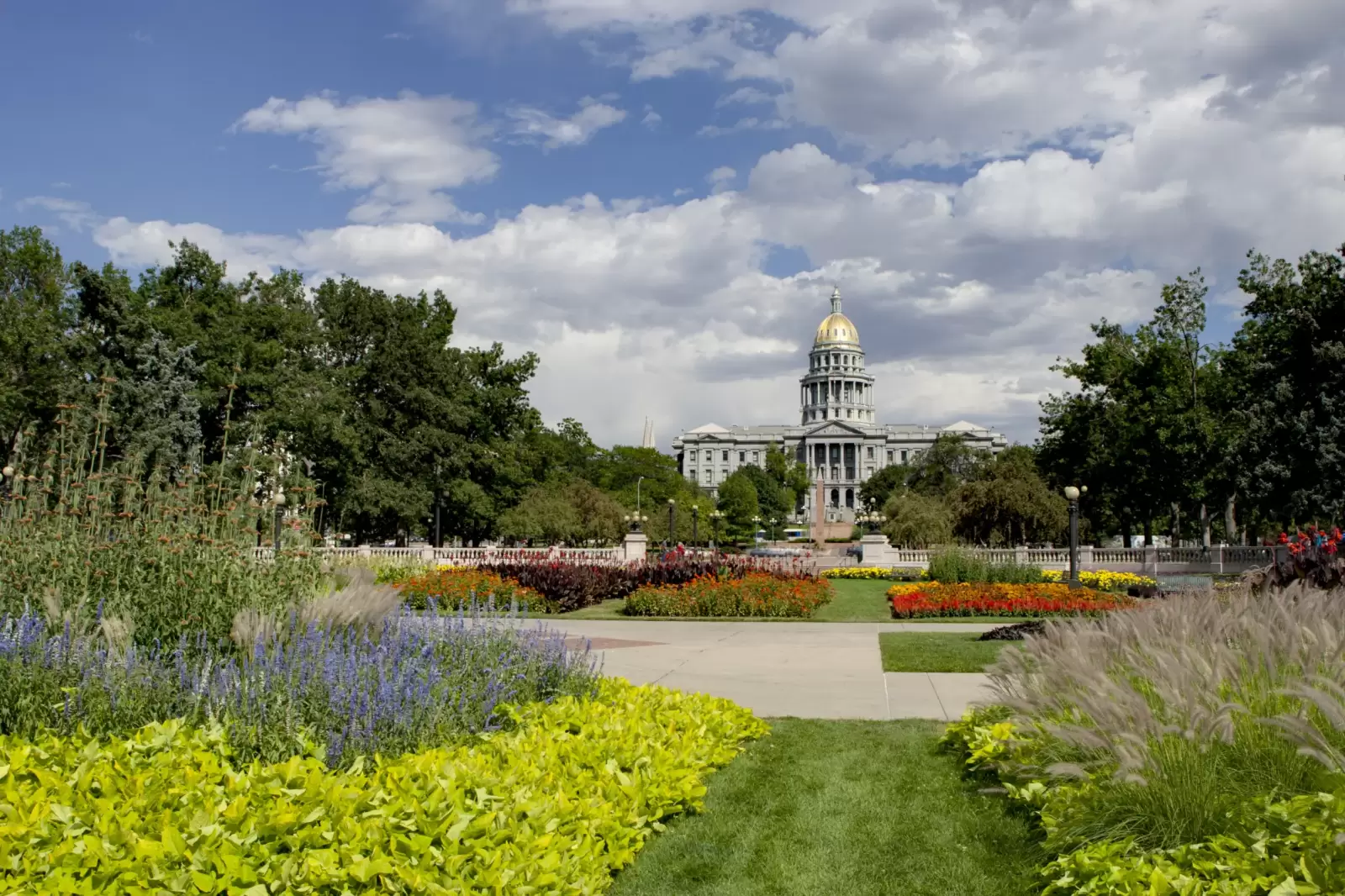 denver capitol summer denver capitol summer