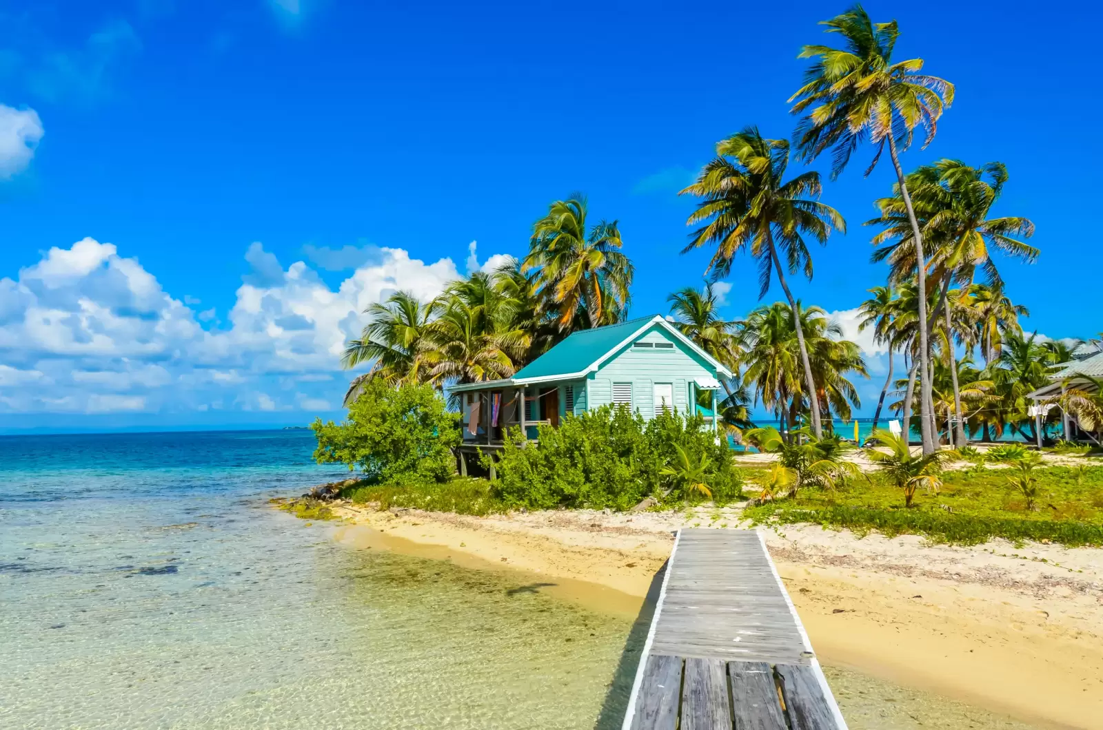 field station caribbean sea belize tropical field station caribbean sea belize tropical