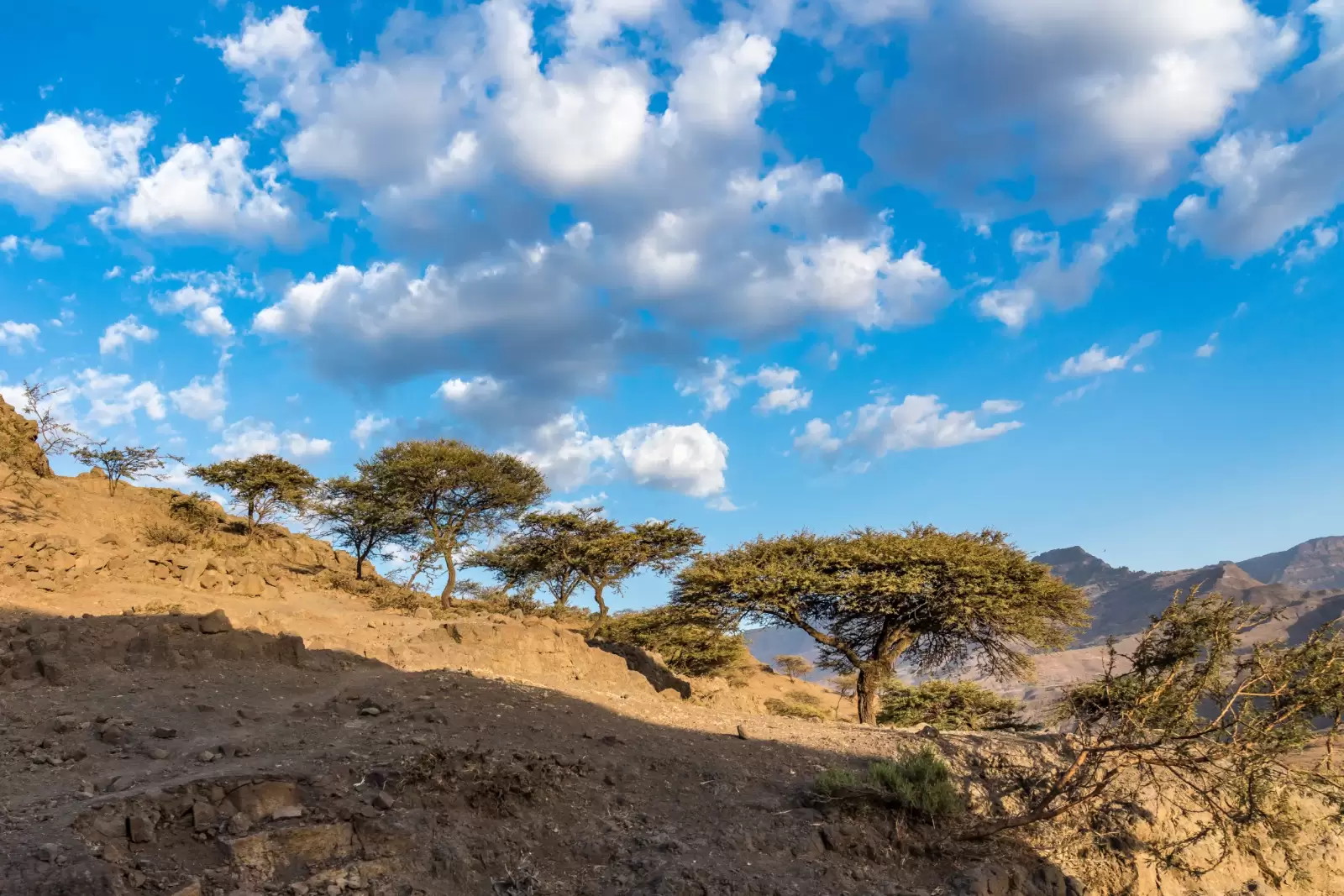 gheralta and lalibela in tigray ethiopia africa