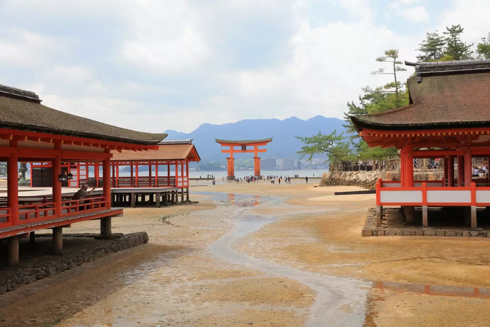 giant torii during low tide near itsukushima shinto shrine in miyajima giant torii during low tide near itsukushima shinto shrine in miyajima