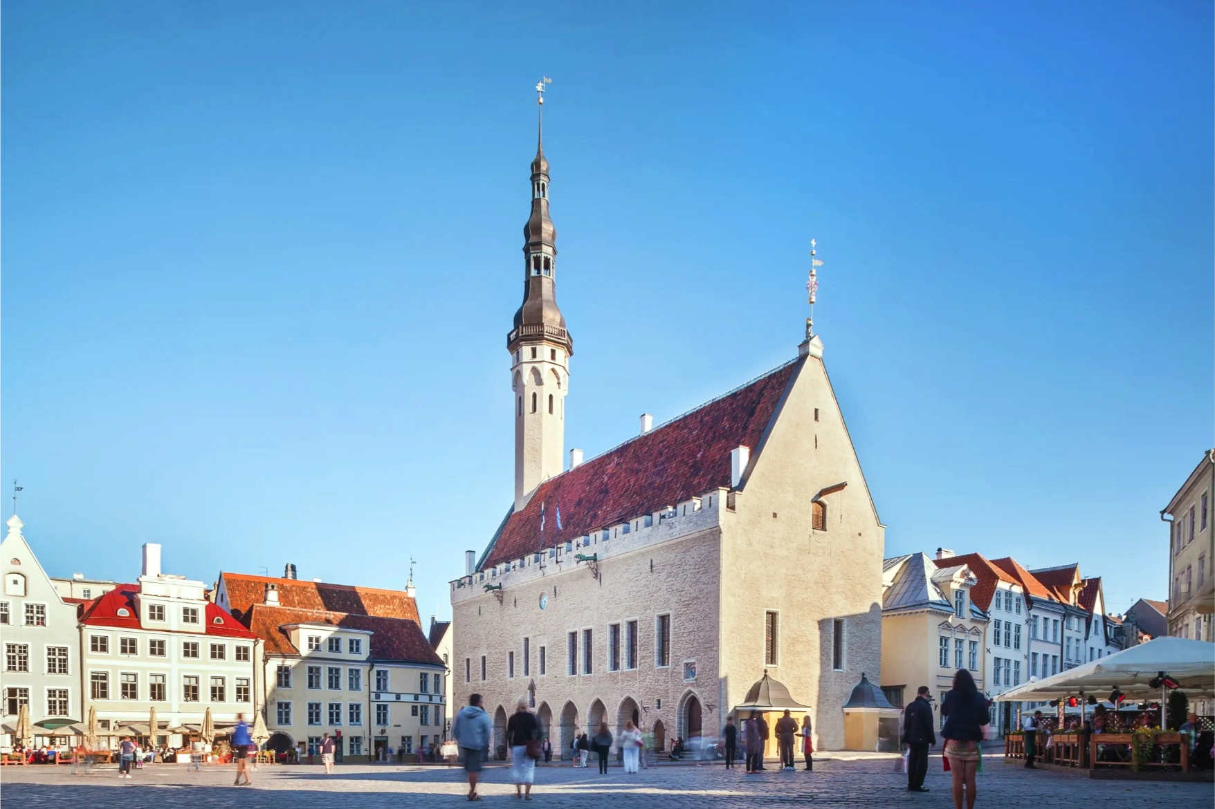 gothic town hall in city centre of tallin gothic town hall in city centre of tallin