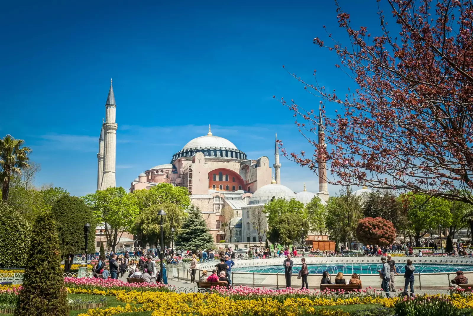 hagia sophia museum istanbul turkey aya sofia mosque