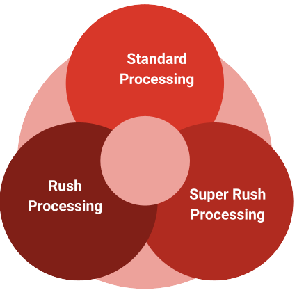 Japan eVisa processing time options