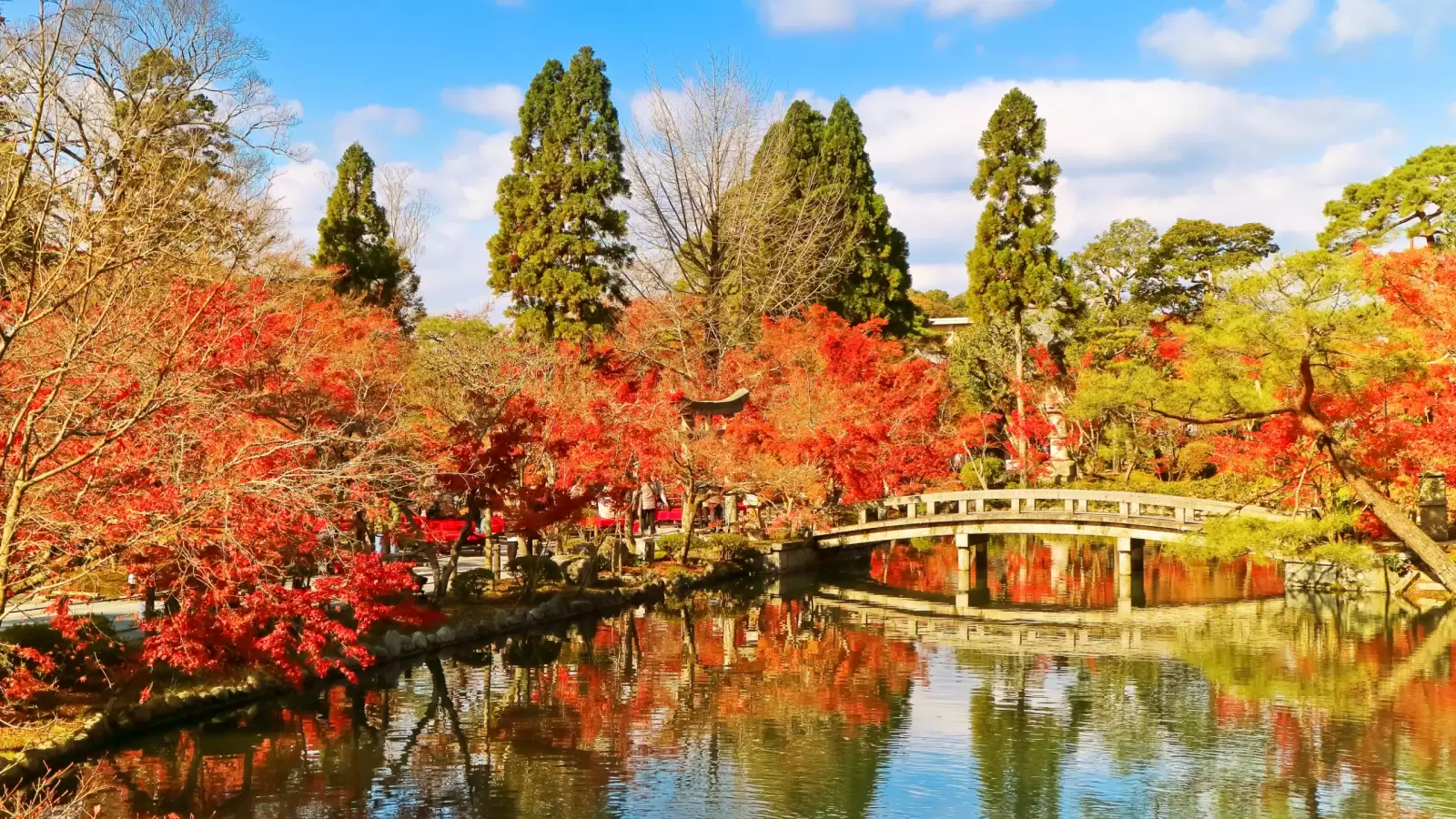 japanese garden autumn in kyoto japan japanese garden autumn in kyoto japan