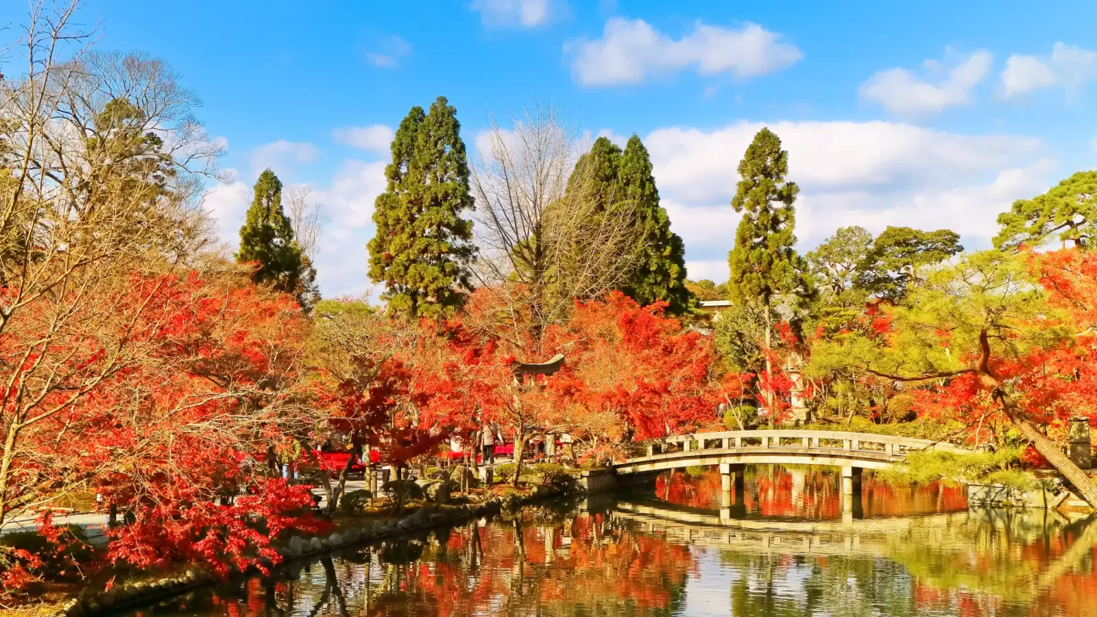 japanese garden in autumn in kyoto japan japanese garden in autumn in kyoto japan