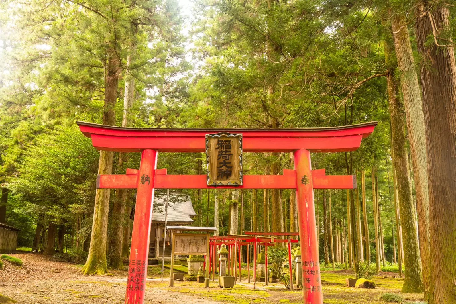 japanese shrine or japanese temple in the forest japanese shrine or japanese temple in the forest
