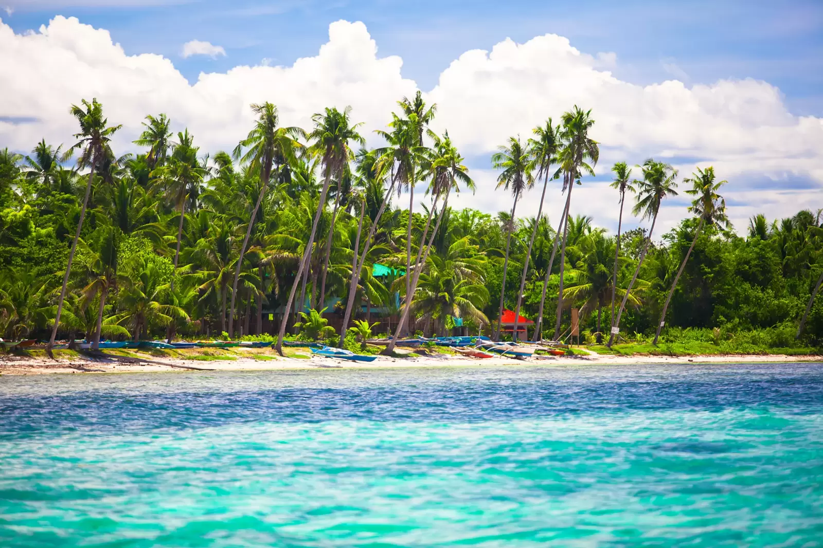 landscape of tropical island beach with perfect blue sky in bohol island landscape of tropical island beach with perfect blue sky in bohol island