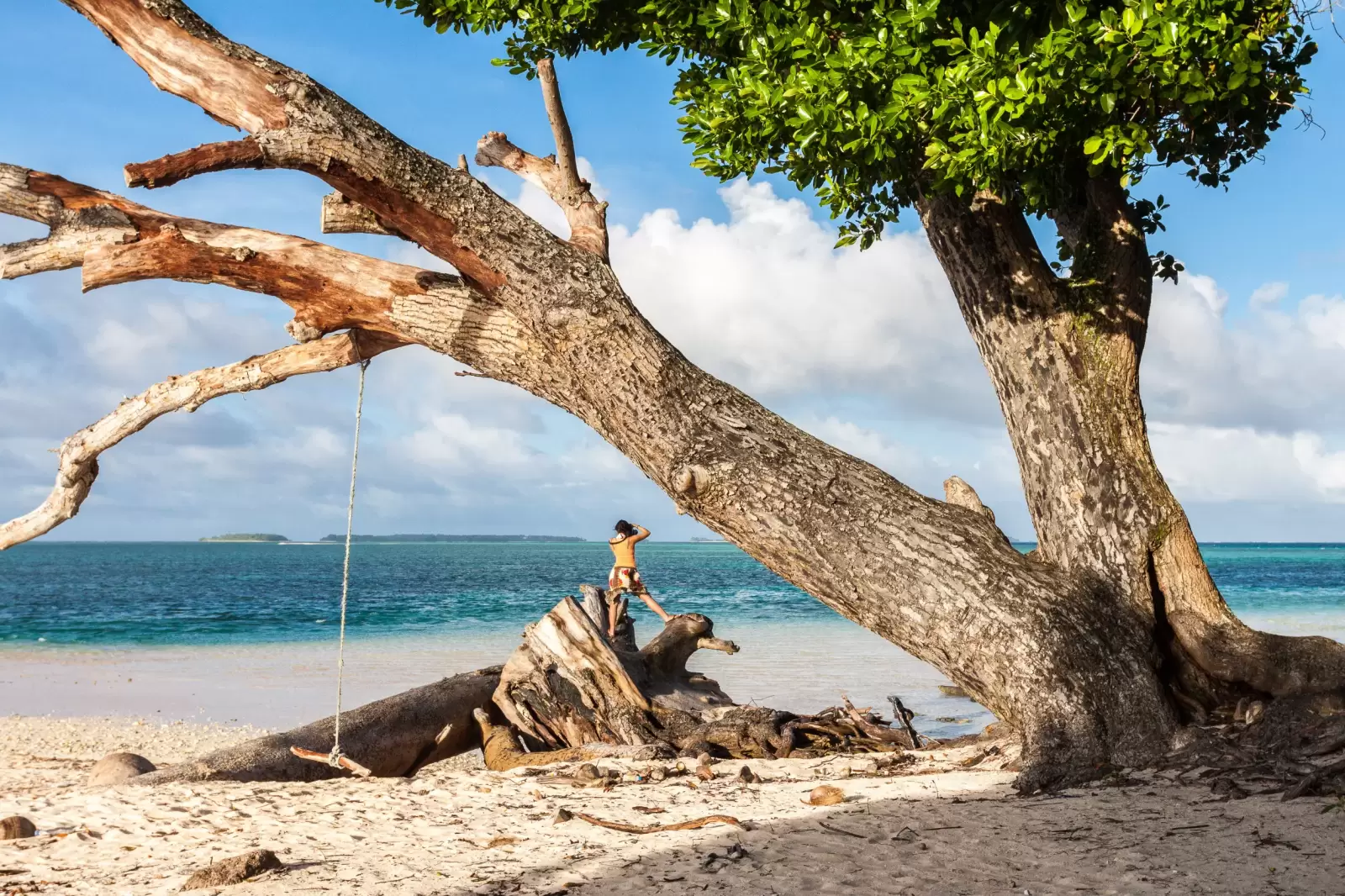laura beach azure blue turquoise waters of lagoon majuro laura beach azure blue turquoise waters of lagoon majuro