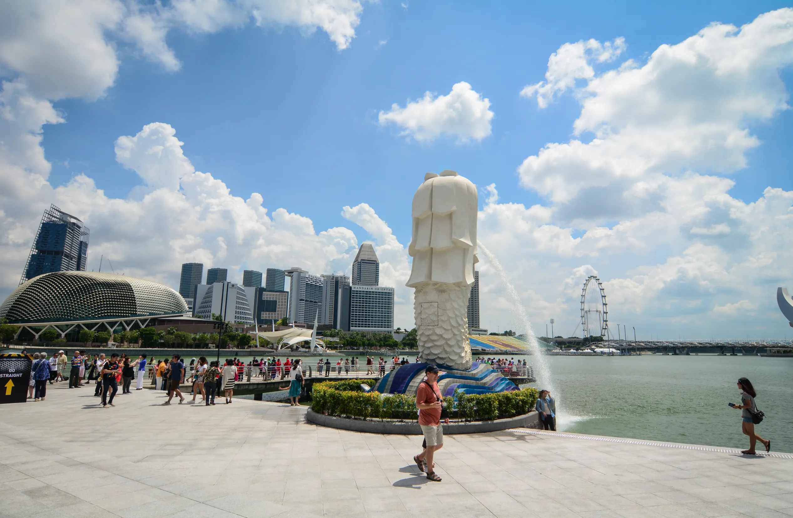 merlion at marina bay in singapore singapore merlion at marina bay in singapore singapore