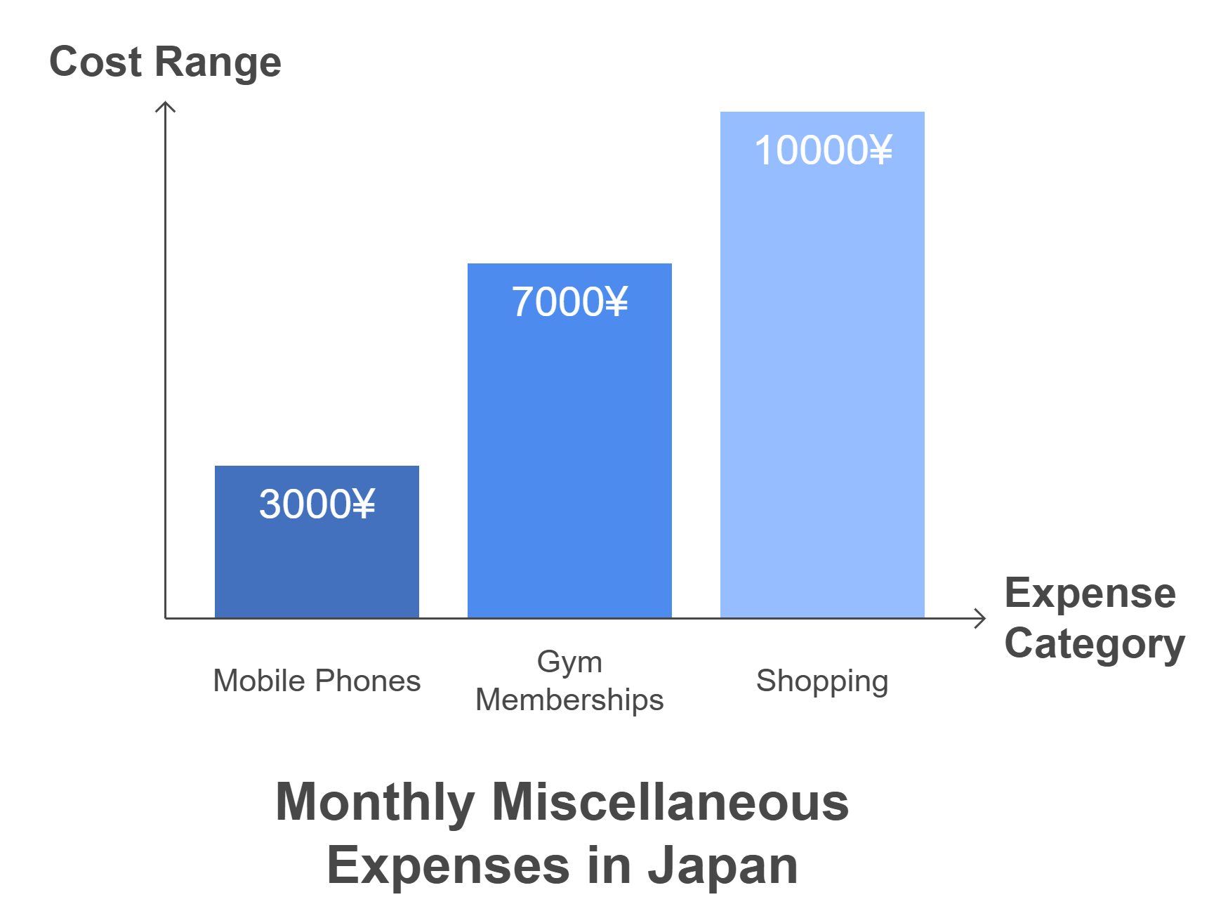 Miscellaneous Expenses