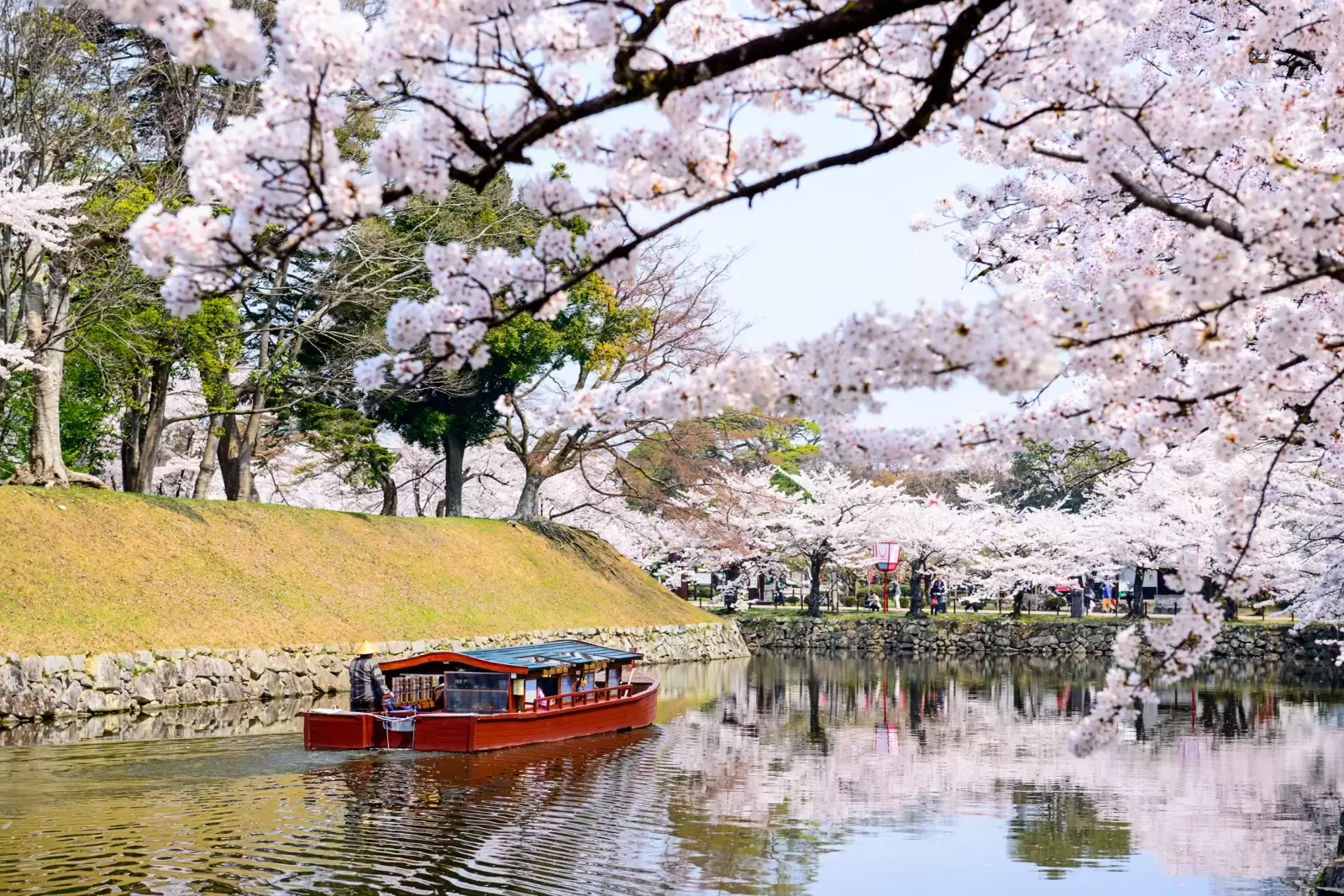 moat around hikone castle in the spring in hikone japan moat around hikone castle in the spring in hikone japan