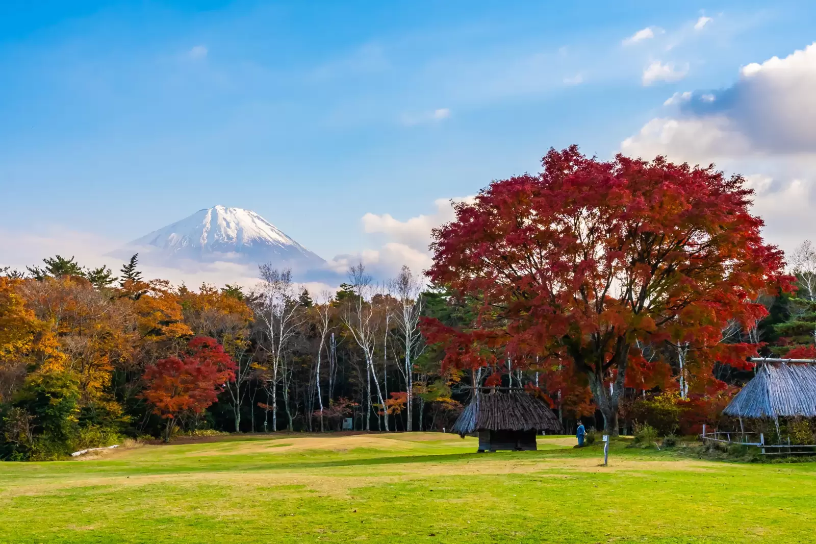 mountain fuji with maple leaf tree around lake in autumn mountain fuji with maple leaf tree around lake in autumn