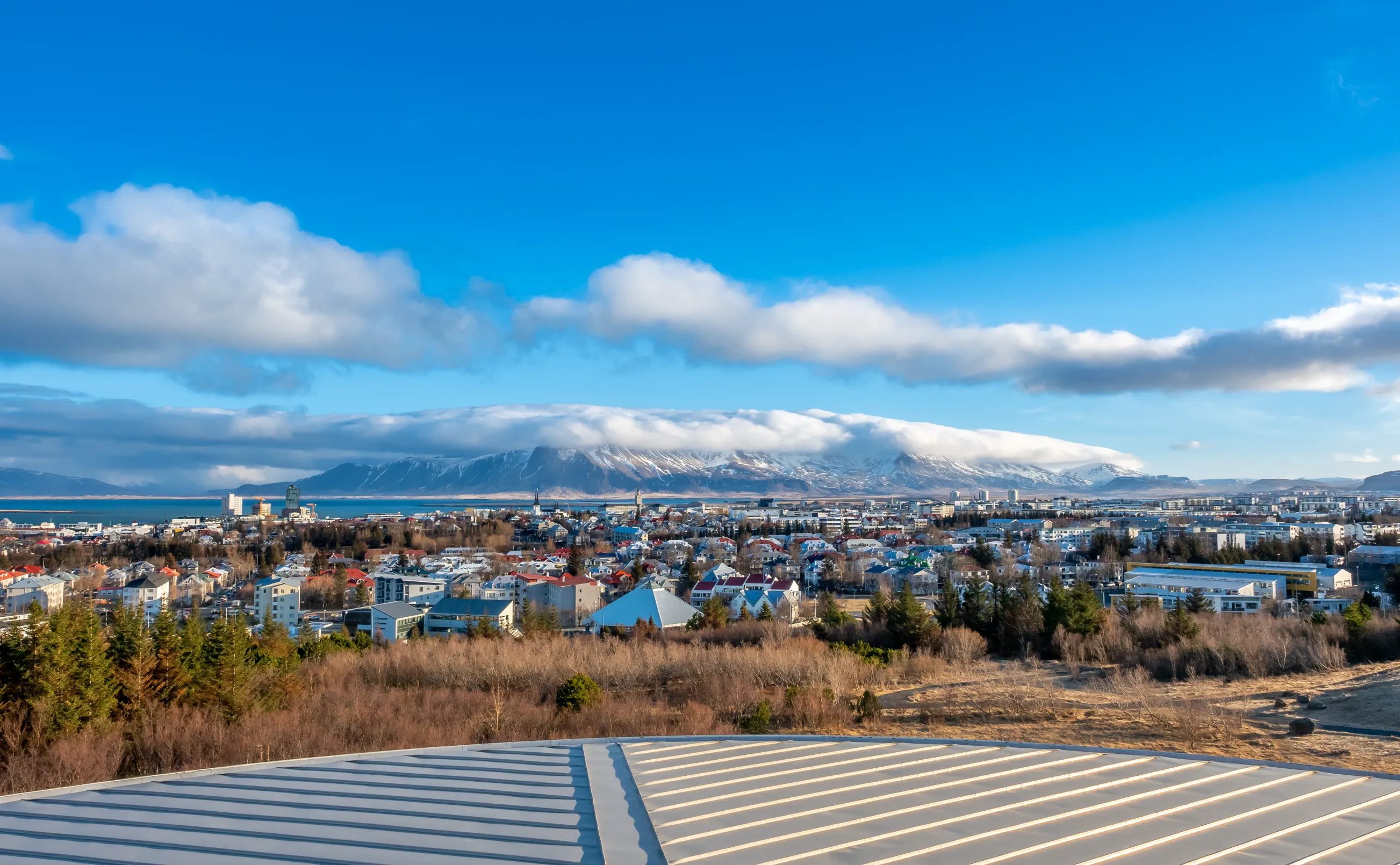 reykjavik capital city of iceland