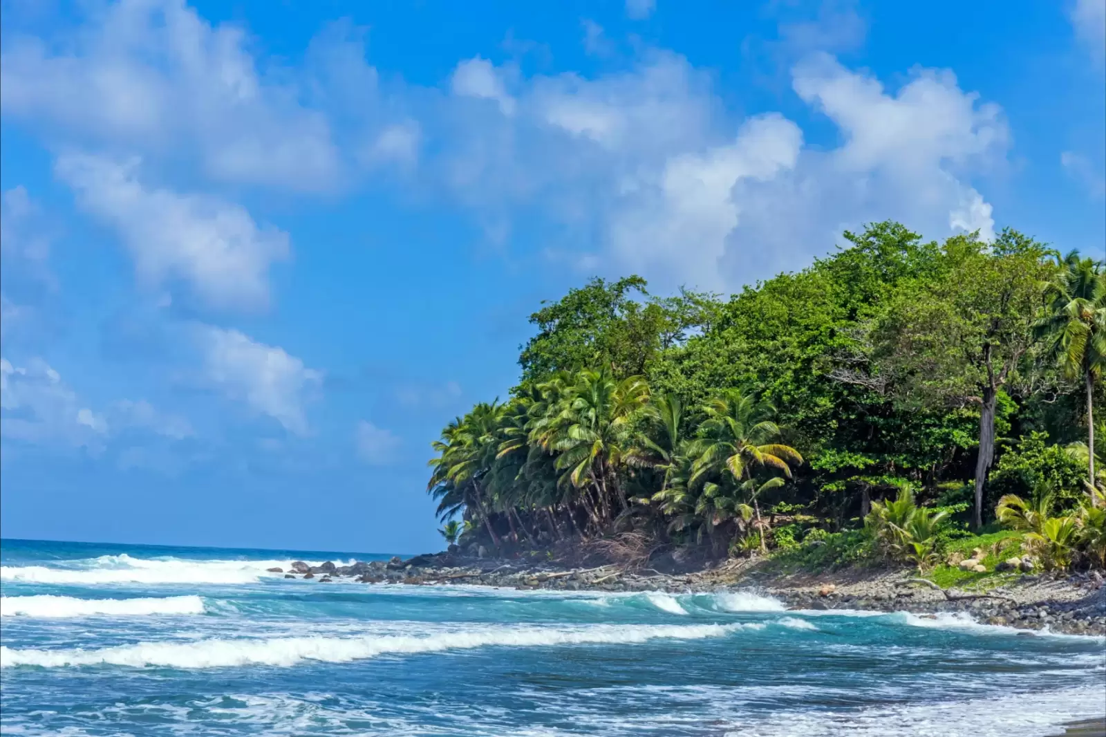 scenic ocen landscape in dominica with huge waves and view to the cliffs scenic ocen landscape in dominica with huge waves and view to the cliffs
