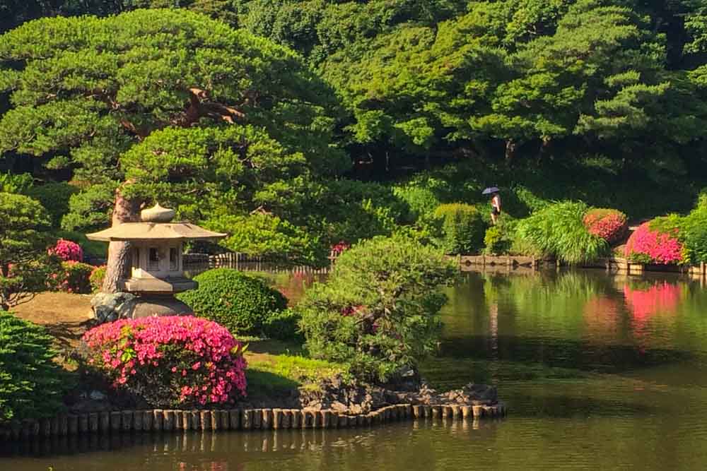 shinjuku-gyoen-national-garden