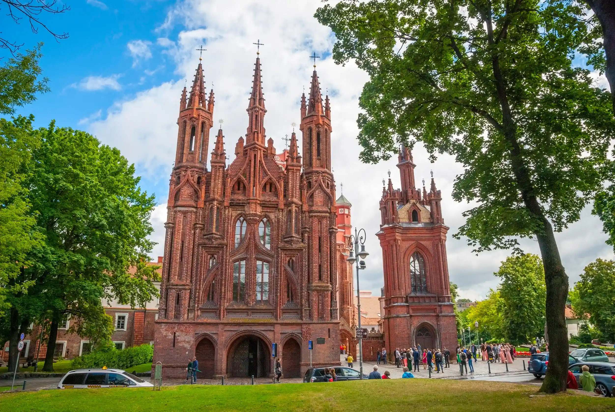 st bernard in vilnius