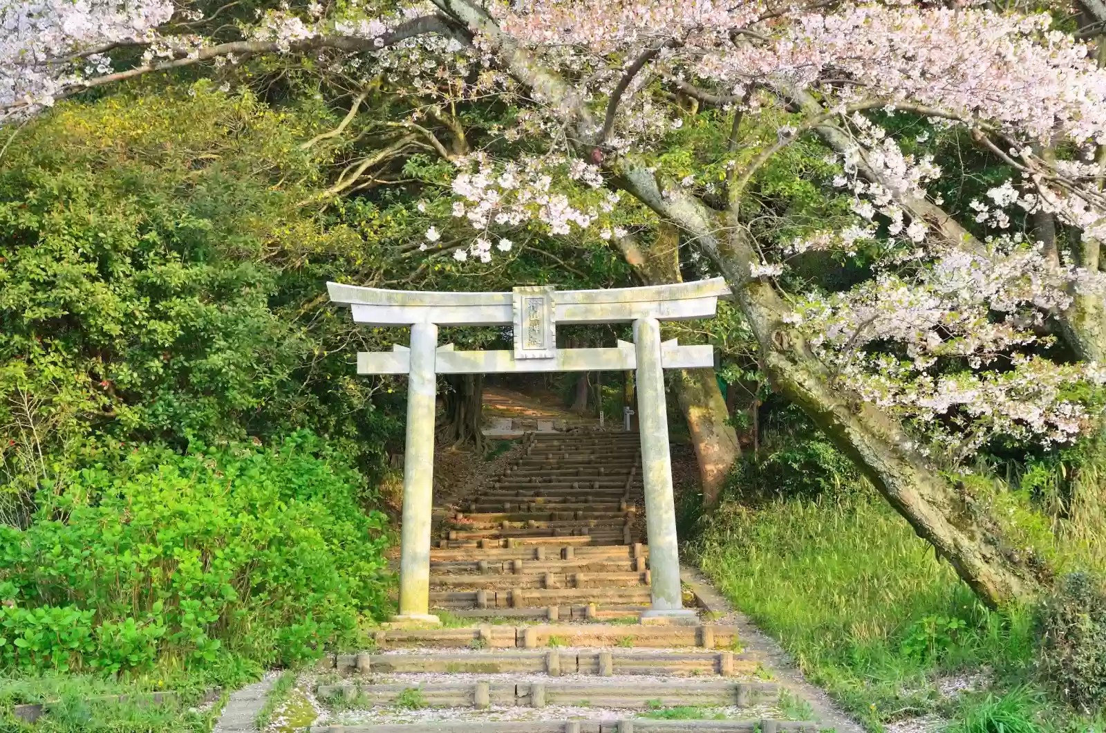 takebe shrine at the end hiyama shrine takebe shrine at the end hiyama shrine