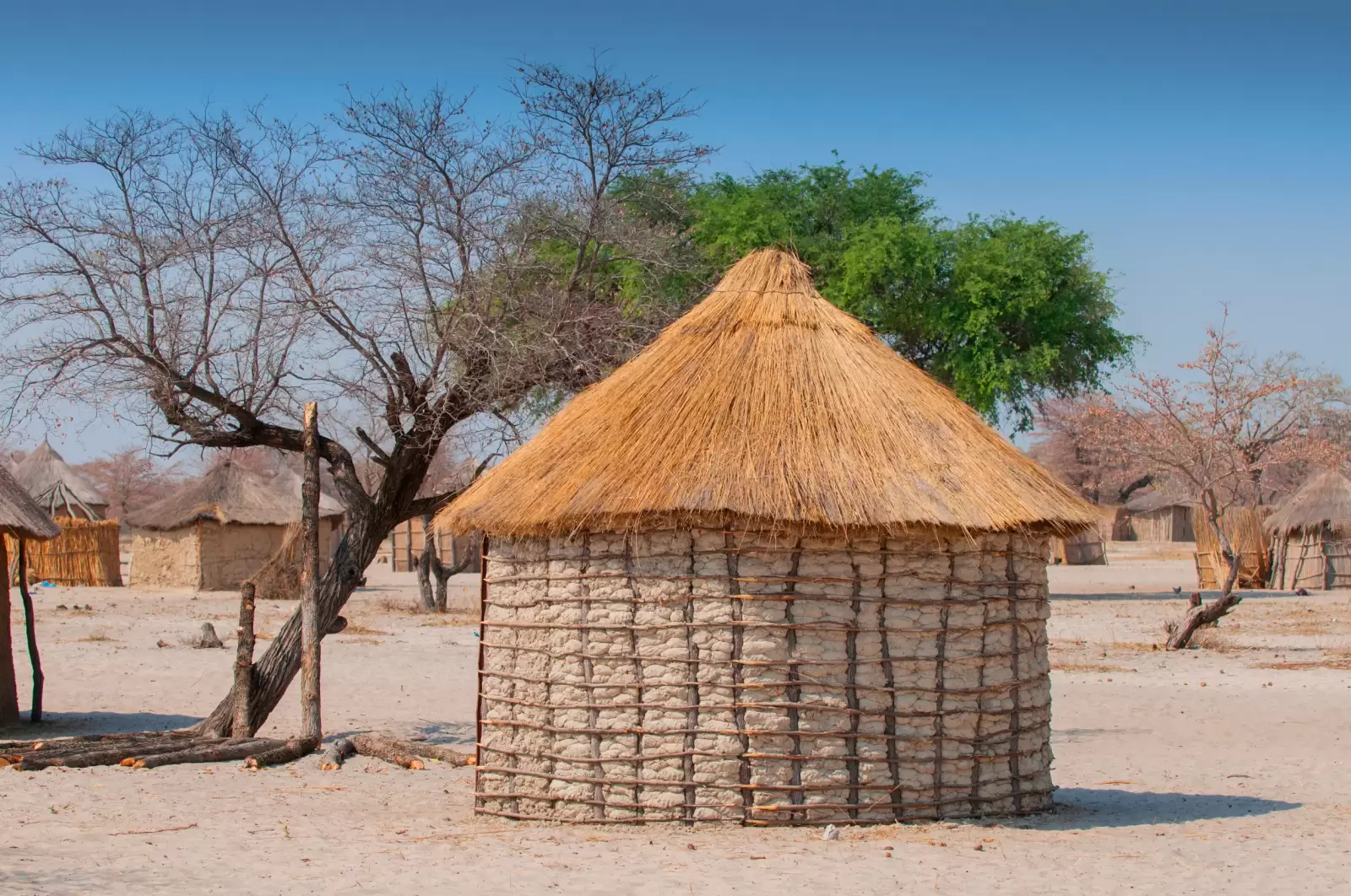 thatched roof african round hut in botswana thatched roof african round hut in botswana