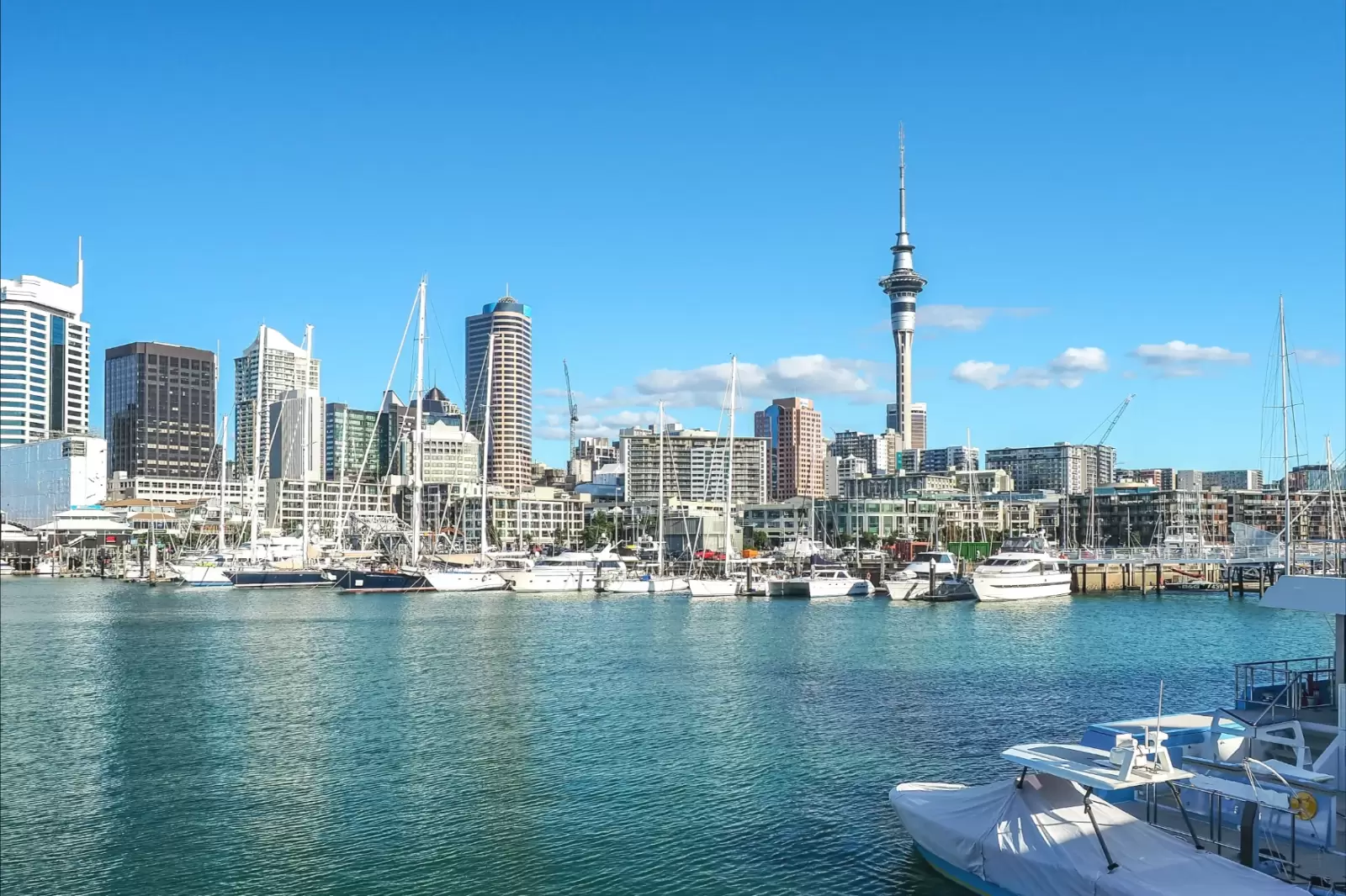 the famous harbor view and sky tower in auckland new zealand the famous harbor view and sky tower in auckland new zealand
