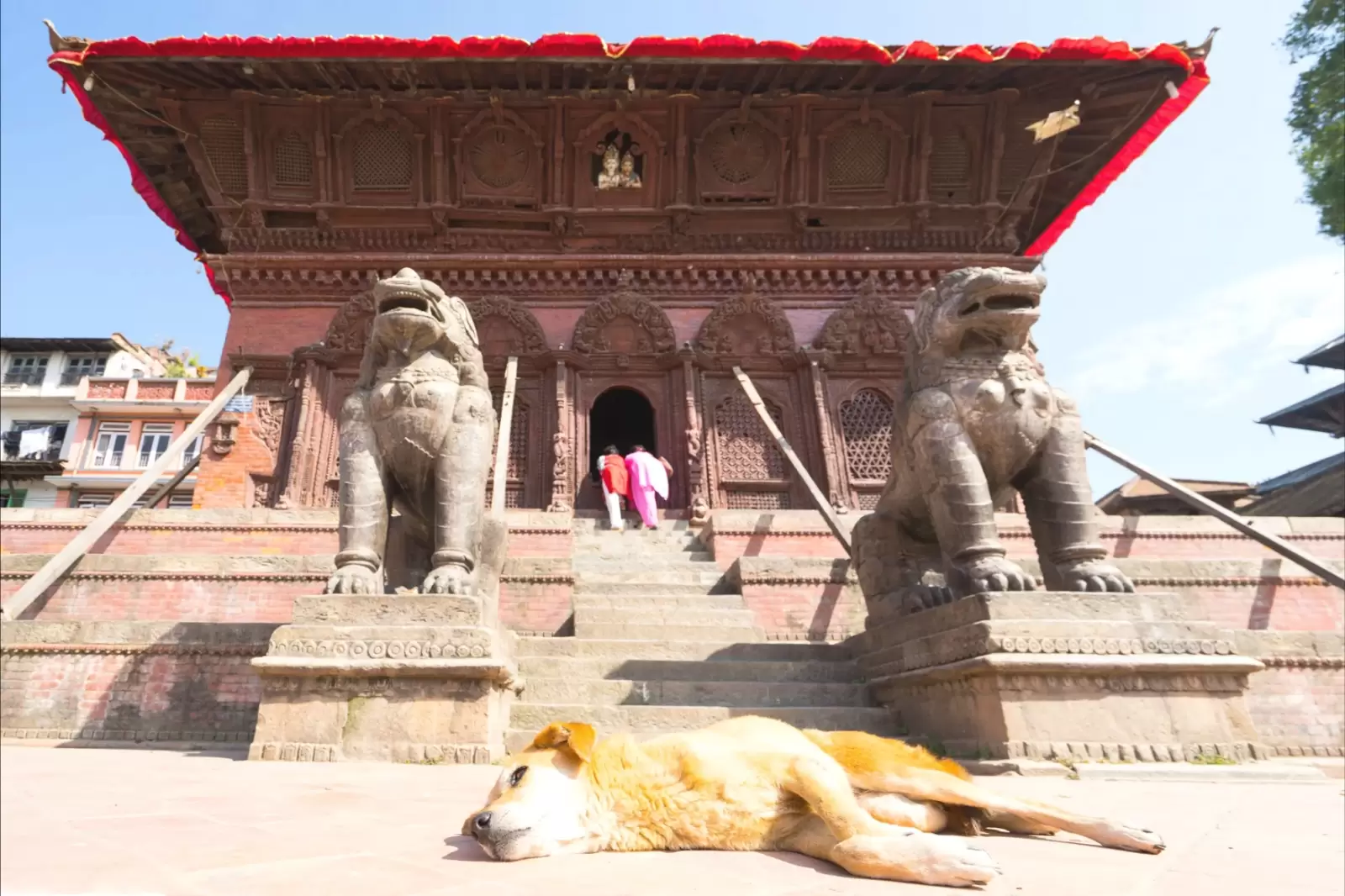 thethe famous durbar square museum in kathmandu nepal thethe famous durbar square museum in kathmandu nepal