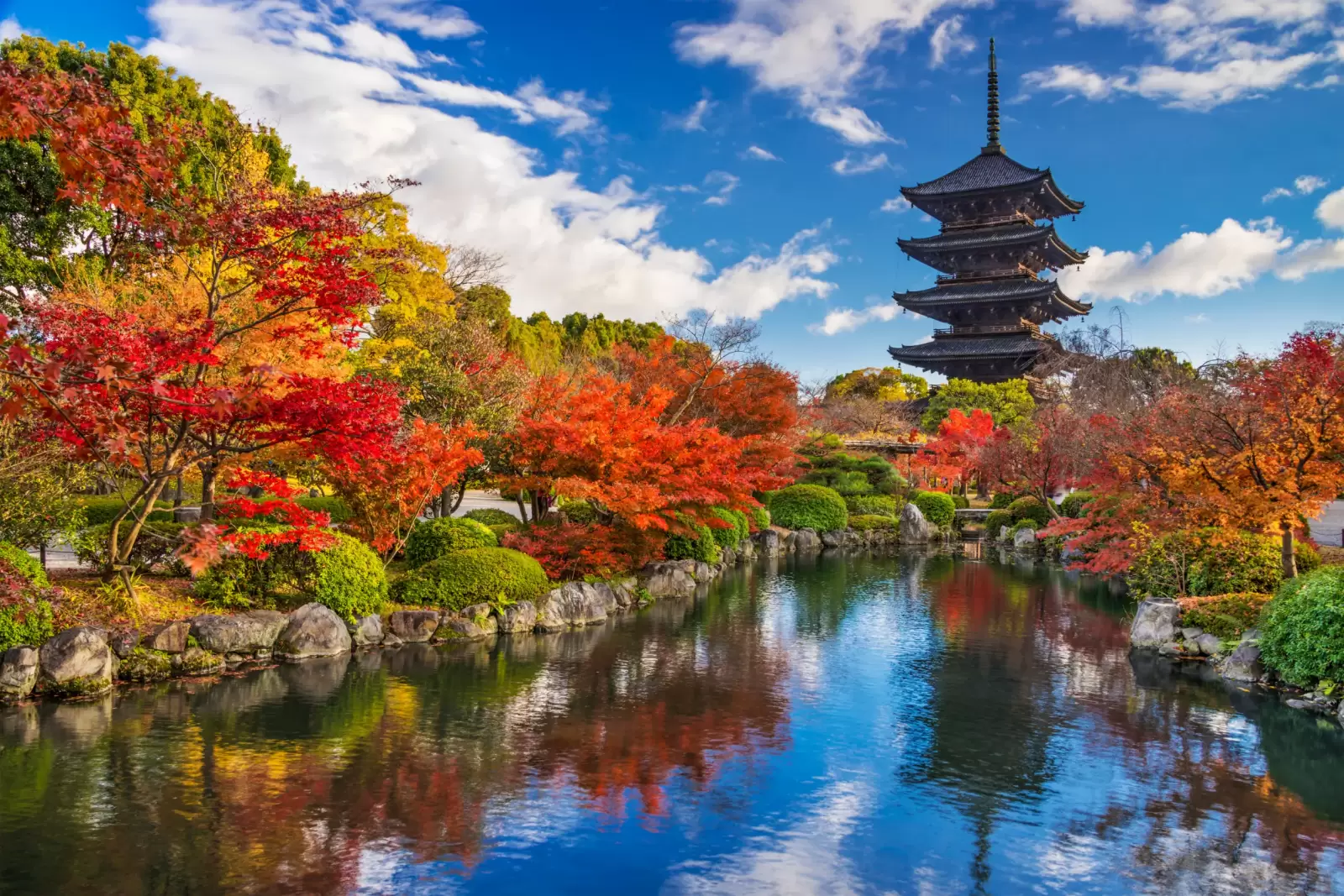 to ji pagoda in kyoto japan during the fall season to ji pagoda in kyoto japan during the fall season