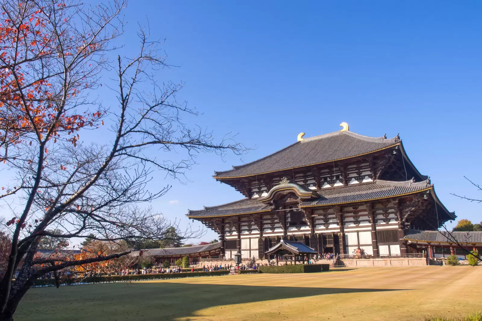 todaiji temple is landmark travel of nara city in japan todaiji temple is landmark travel of nara city in japan
