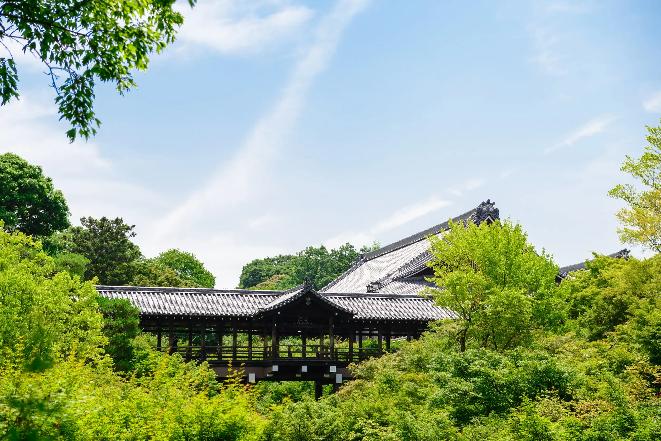 tofukuji temple kyoto city kyoto pref japan tofukuji temple kyoto city kyoto pref japan