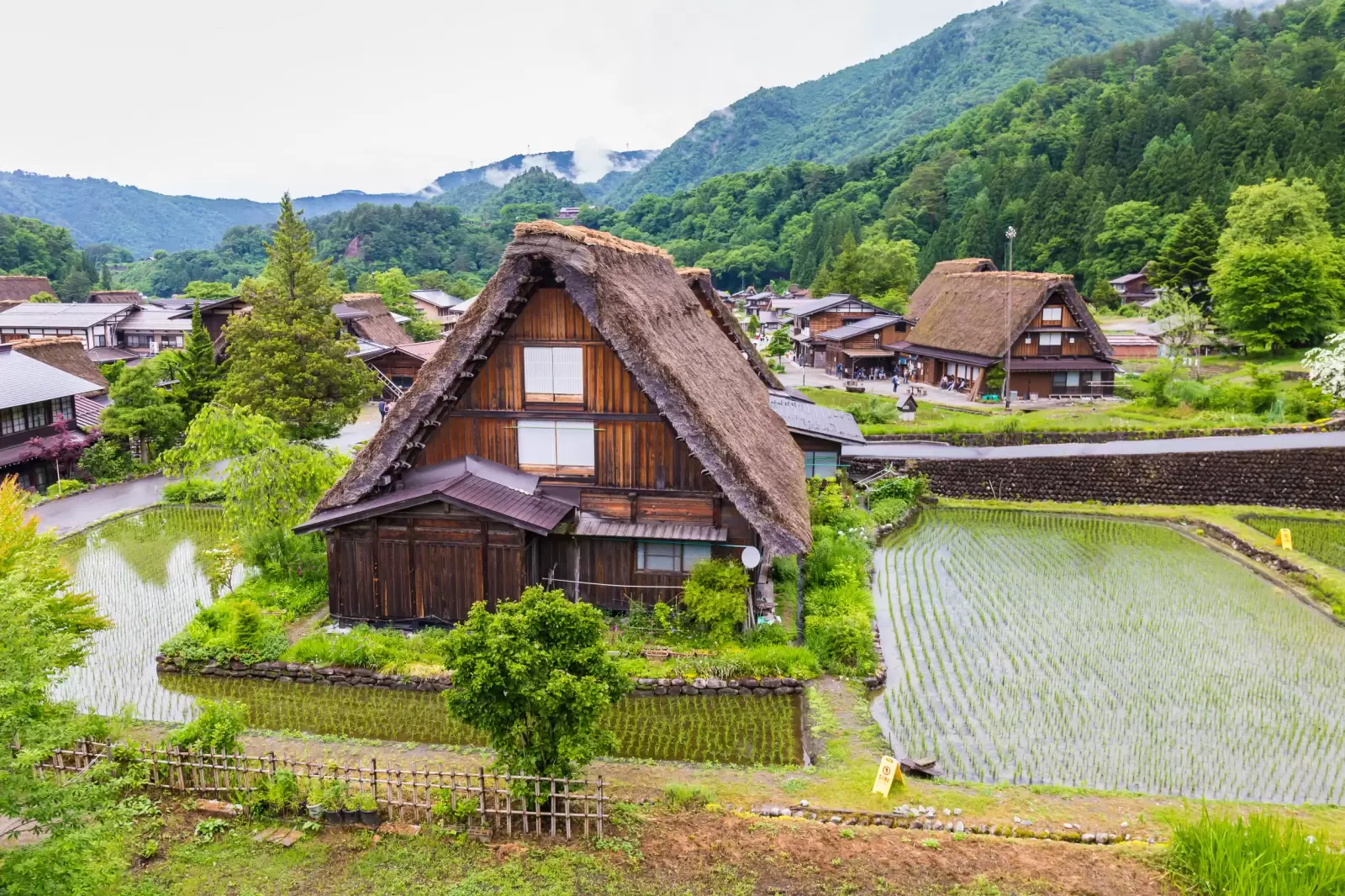 traditional gassho zukuri houses in the historical japanese village of shirakawago in gifu traditional gassho zukuri houses in the historical japanese village of shirakawago in gifu