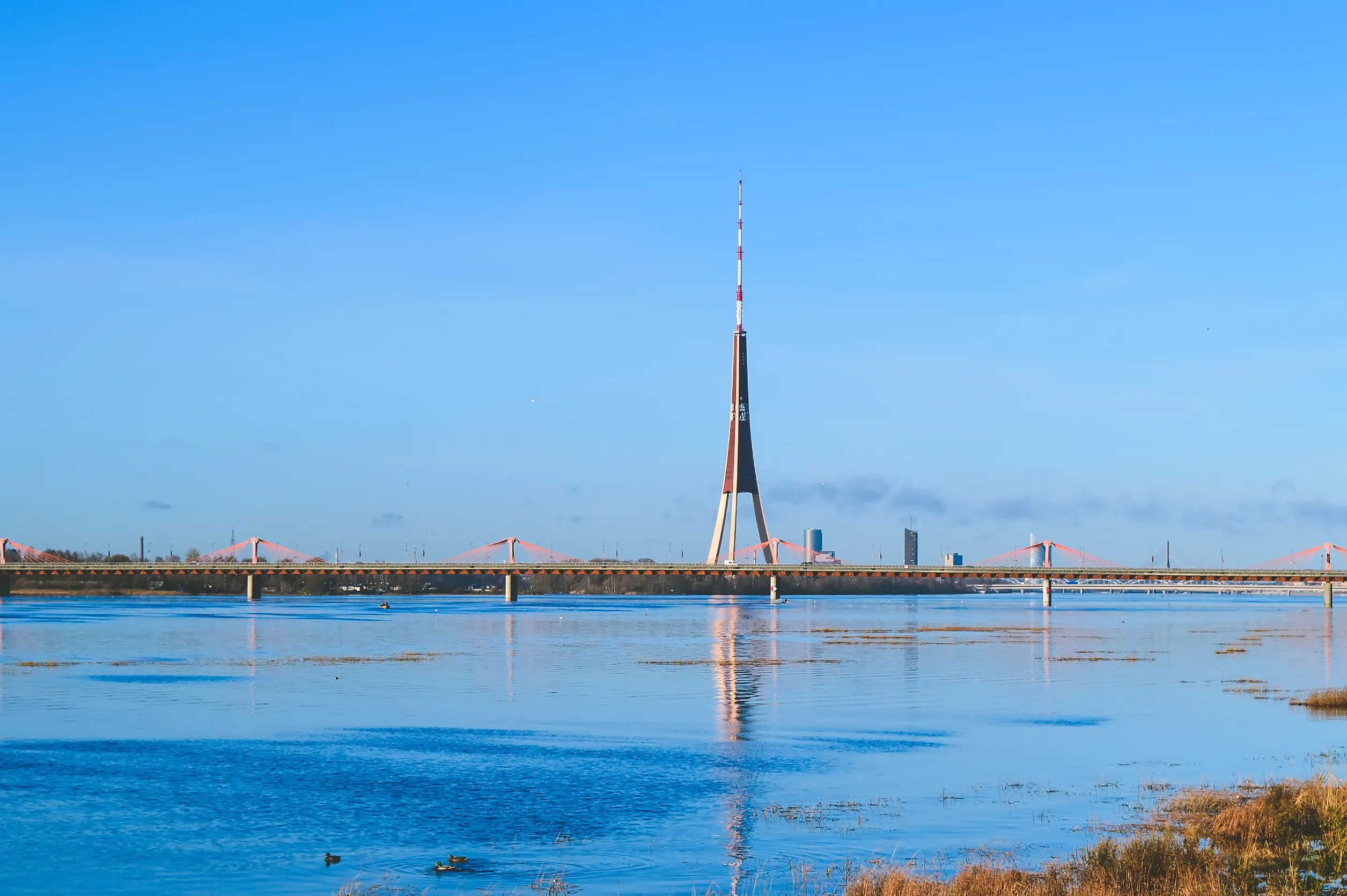 urban landscape with bridge modern buildings and blue sky in october urban landscape with bridge modern buildings and blue sky in october