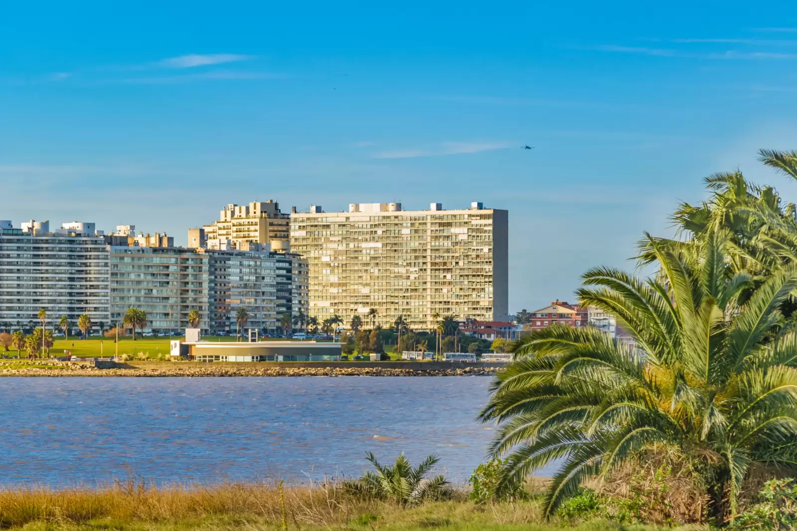 urban scene at the coast of montevideo city uruguay urban scene at the coast of montevideo city uruguay