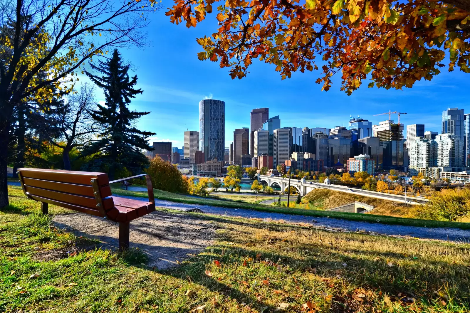 view from a park overlooking the skyline calgary alberta during autumn view from a park overlooking the skyline calgary alberta during autumn