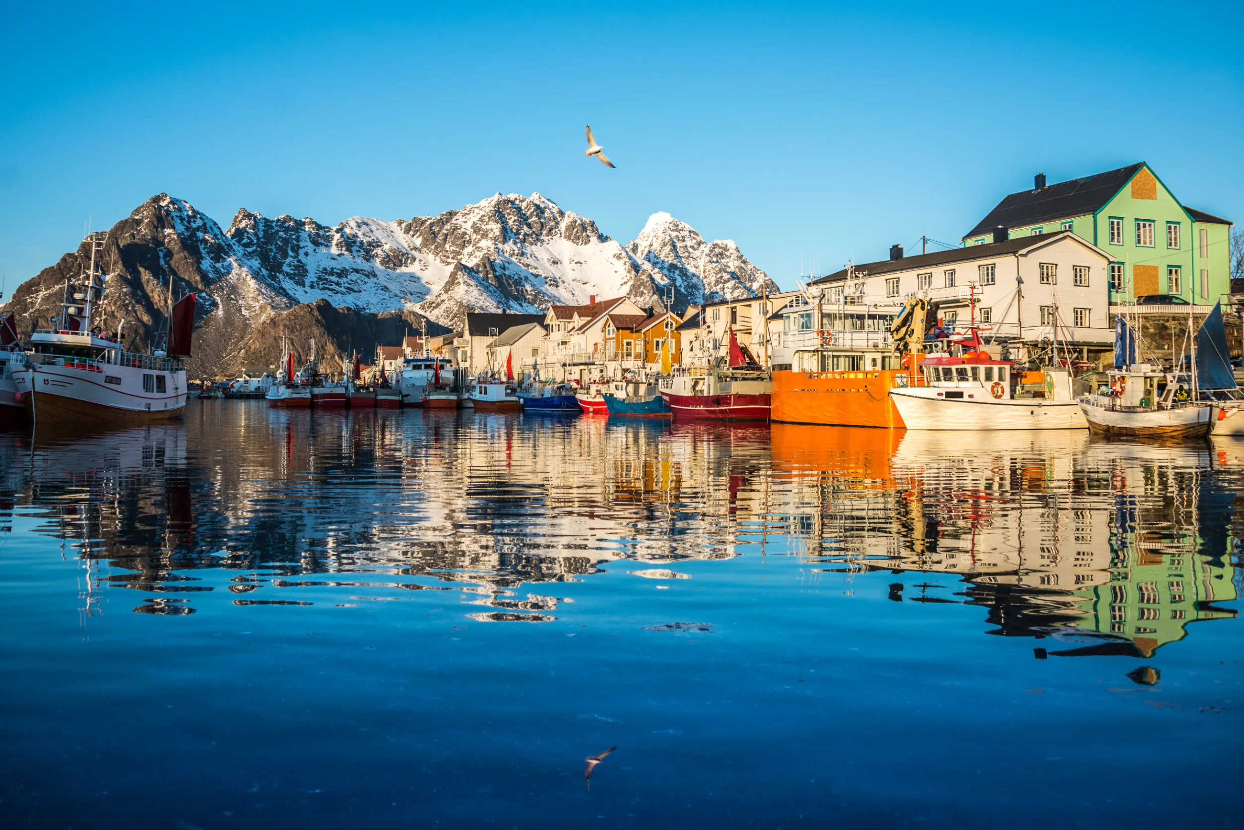 view to henningsvaer port at sunset lofoten norway
