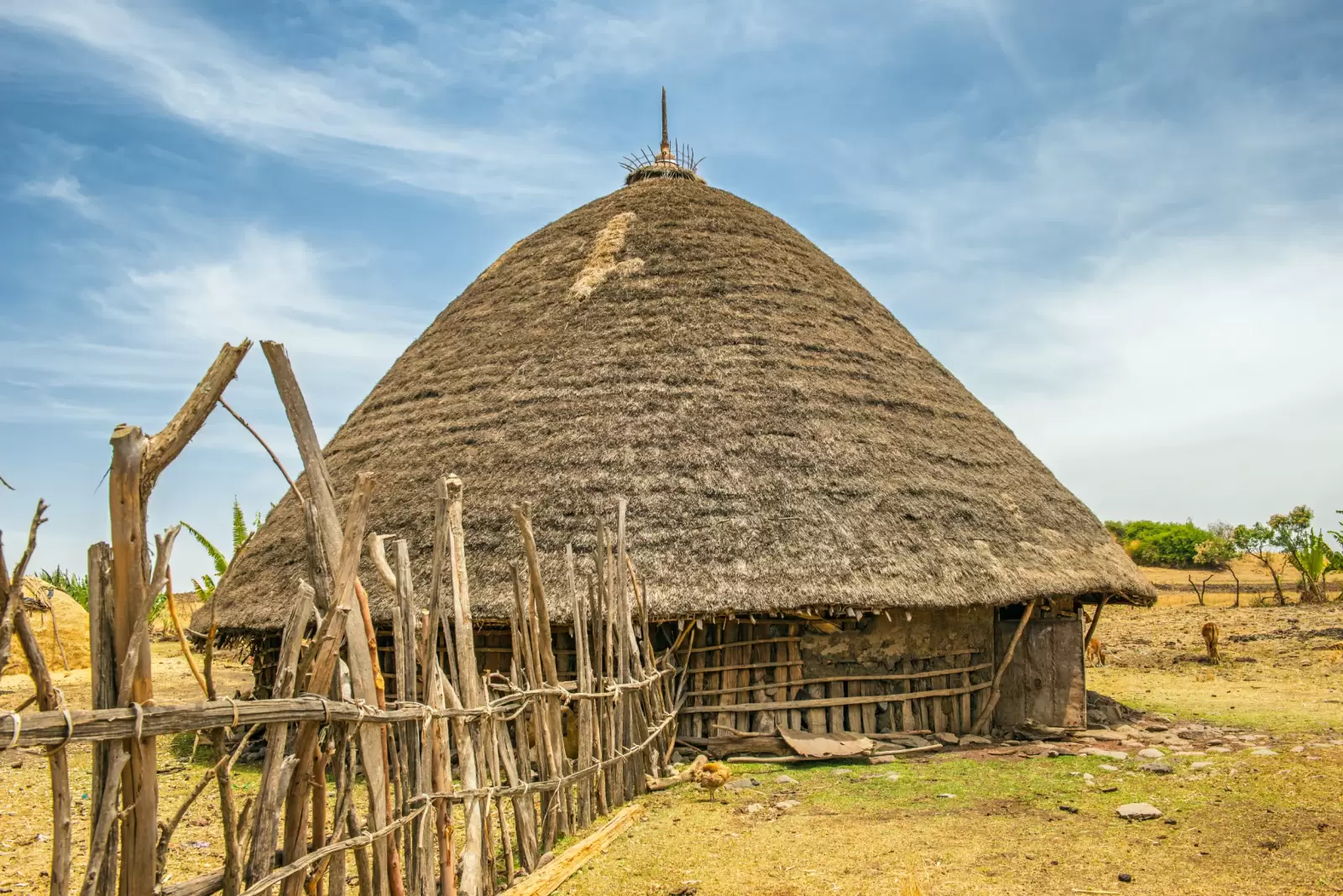 village house near addis ababa ethiopia africa village house near addis ababa ethiopia africa